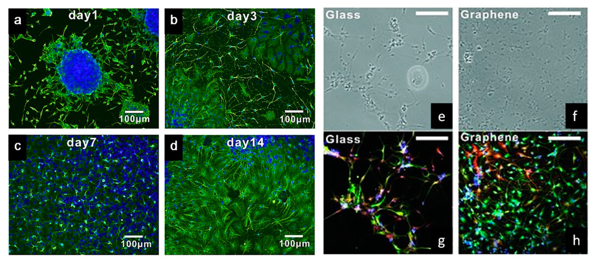 Polymers 12 02946 g005
