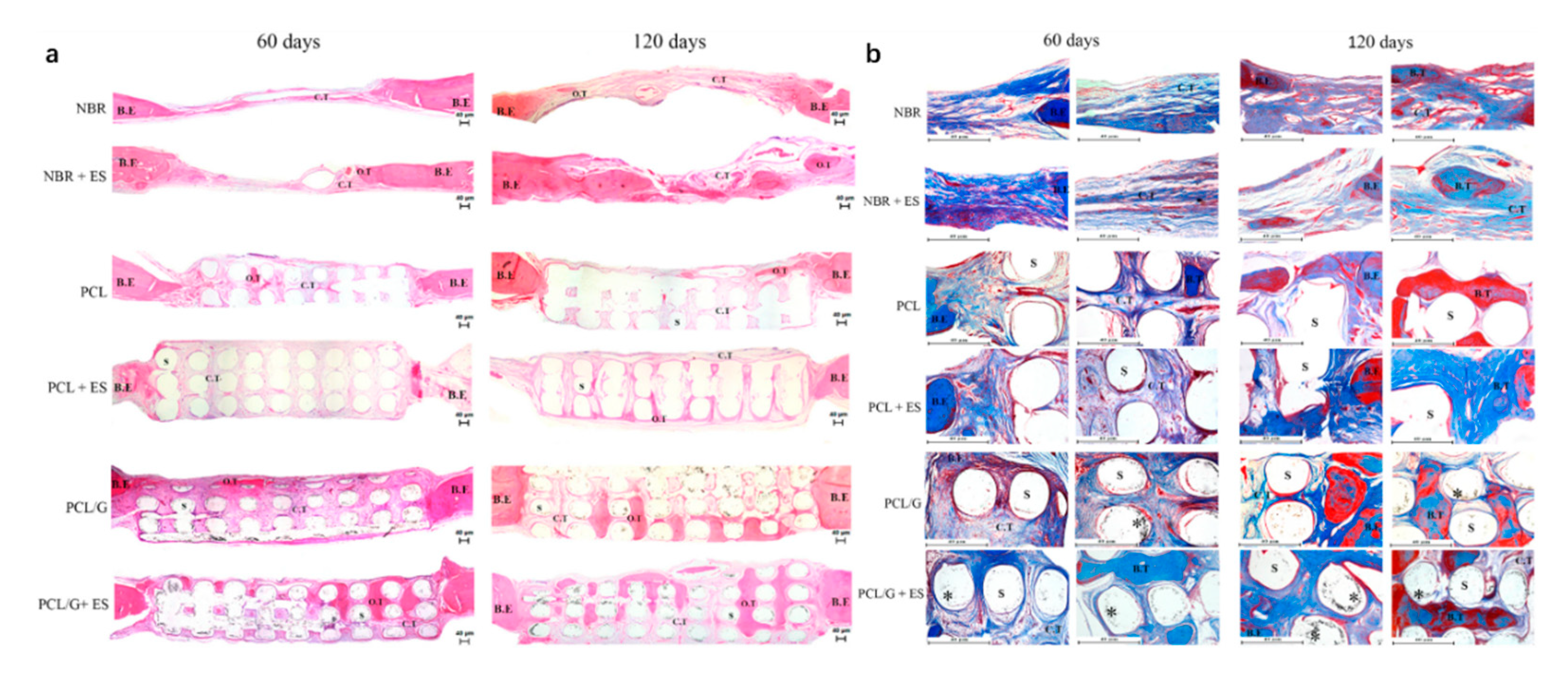 Polymers 12 02946 g008