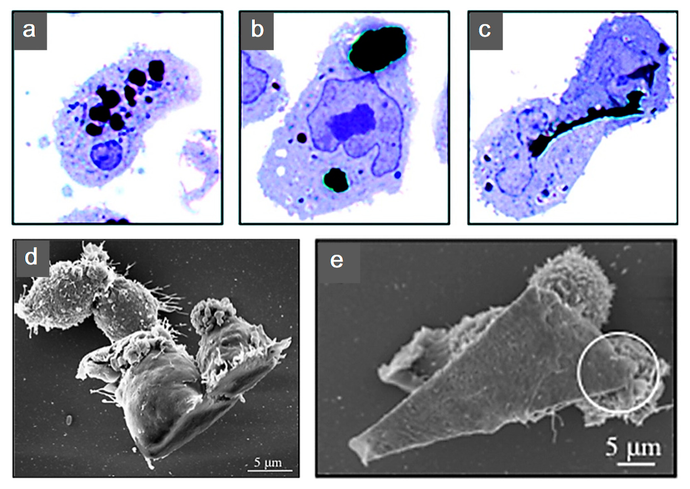 Polymers 12 02946 g010