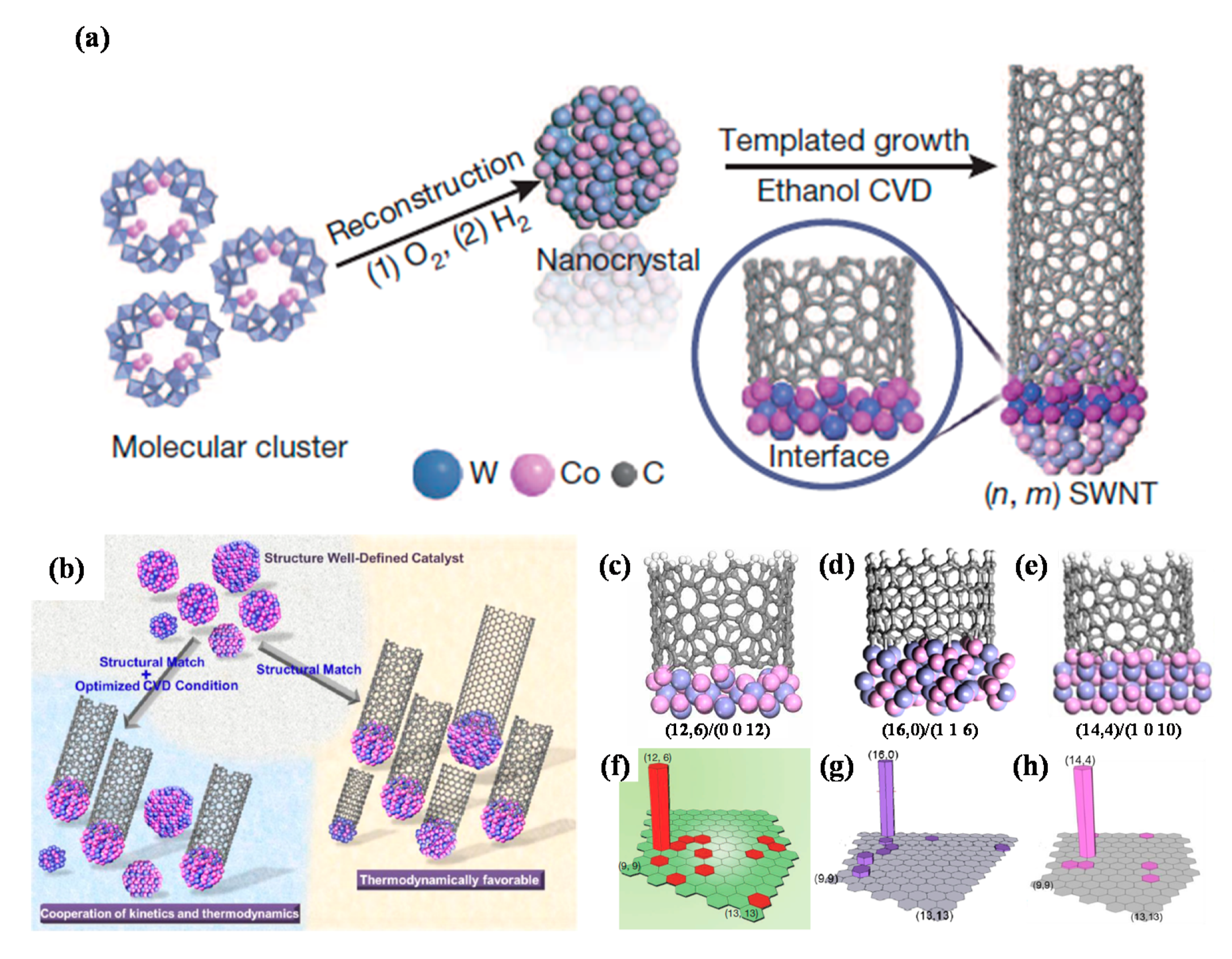 Polymers 12 02946 g014