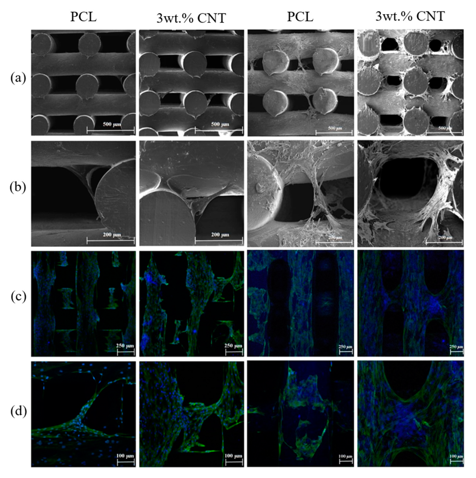 Polymers 12 02946 g017
