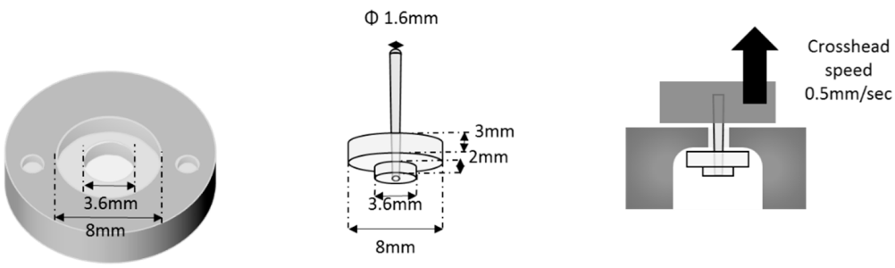 Polymers 12 02947 g001