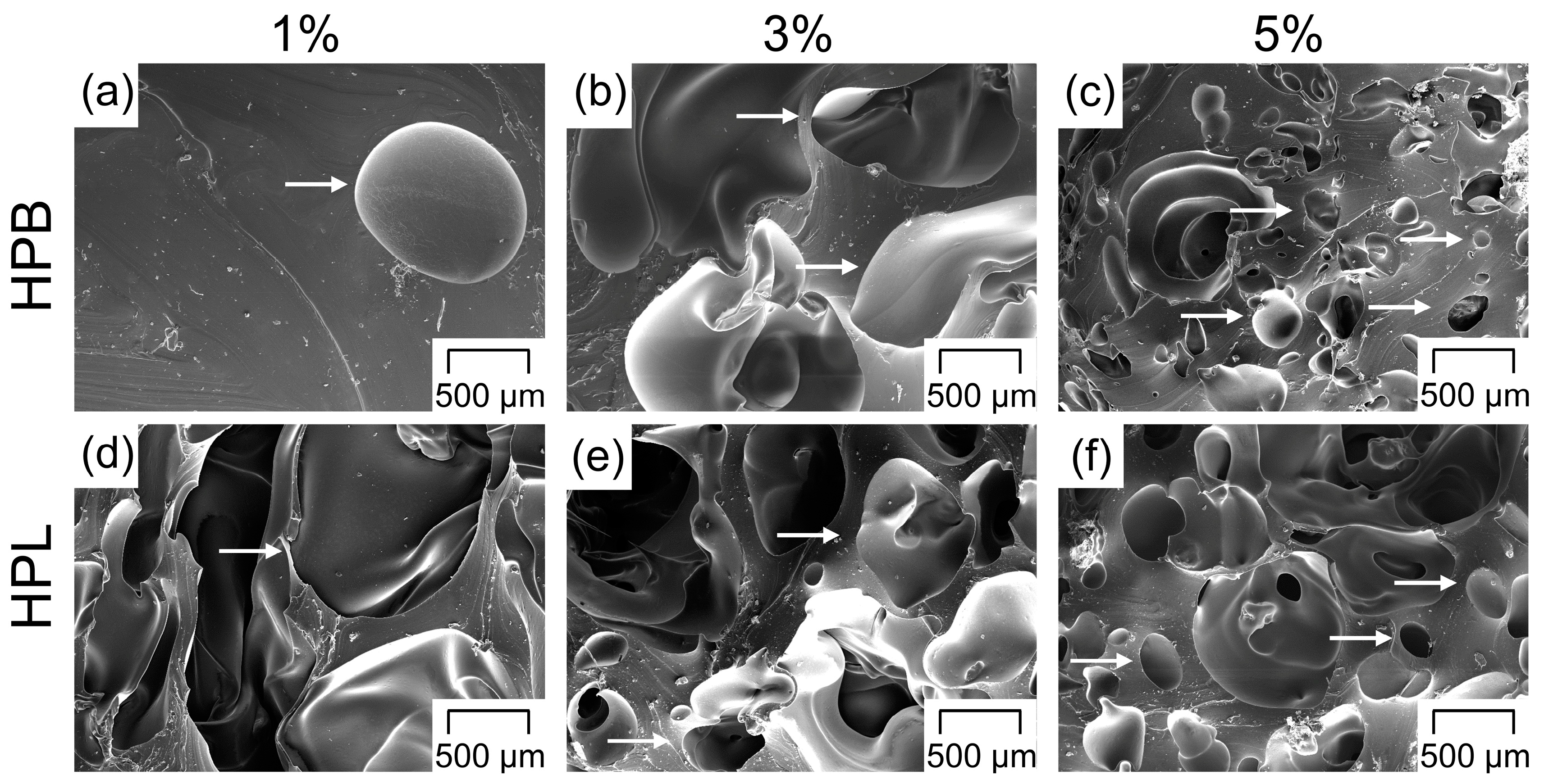 Polymers 12 02950 g004