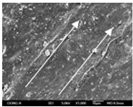 Polymers 12 02955 i032 Polymers 12 02955 i032