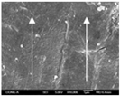 Polymers 12 02955 i036 Polymers 12 02955 i036
