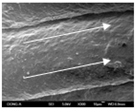 Polymers 12 02955 i042 Polymers 12 02955 i042