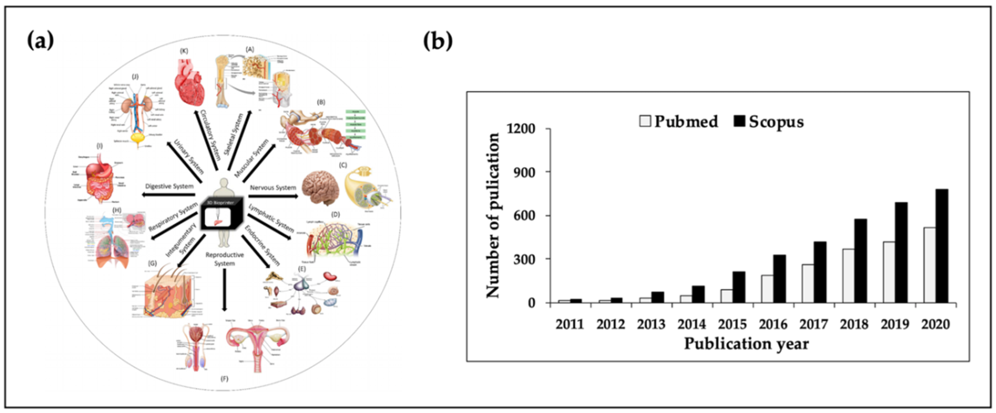 Polymers Free Full Text Current Advances In 3d Bioprinting Technology And Its Applications For Tissue Engineering Html