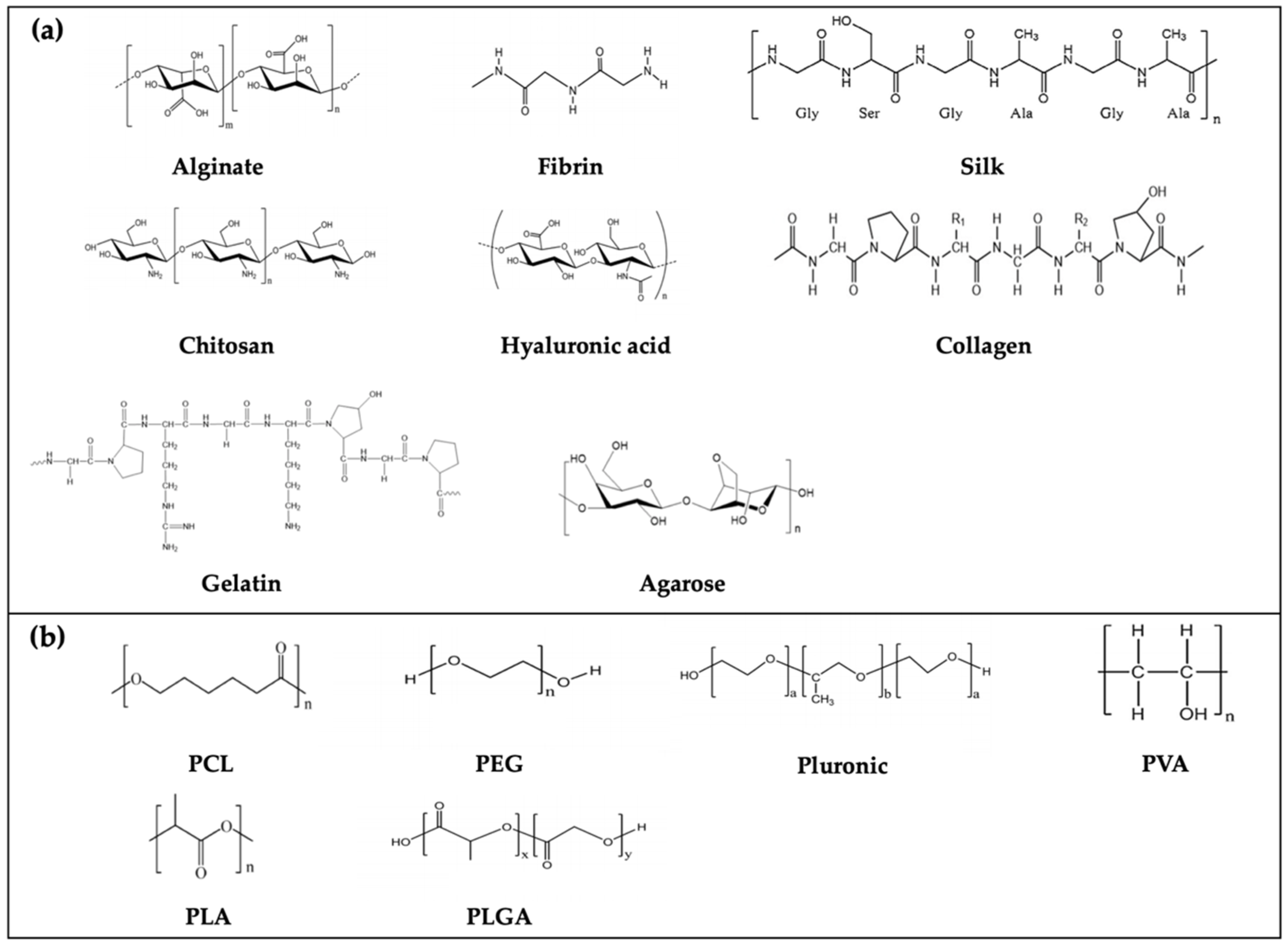 Polymers 12 02958 g003