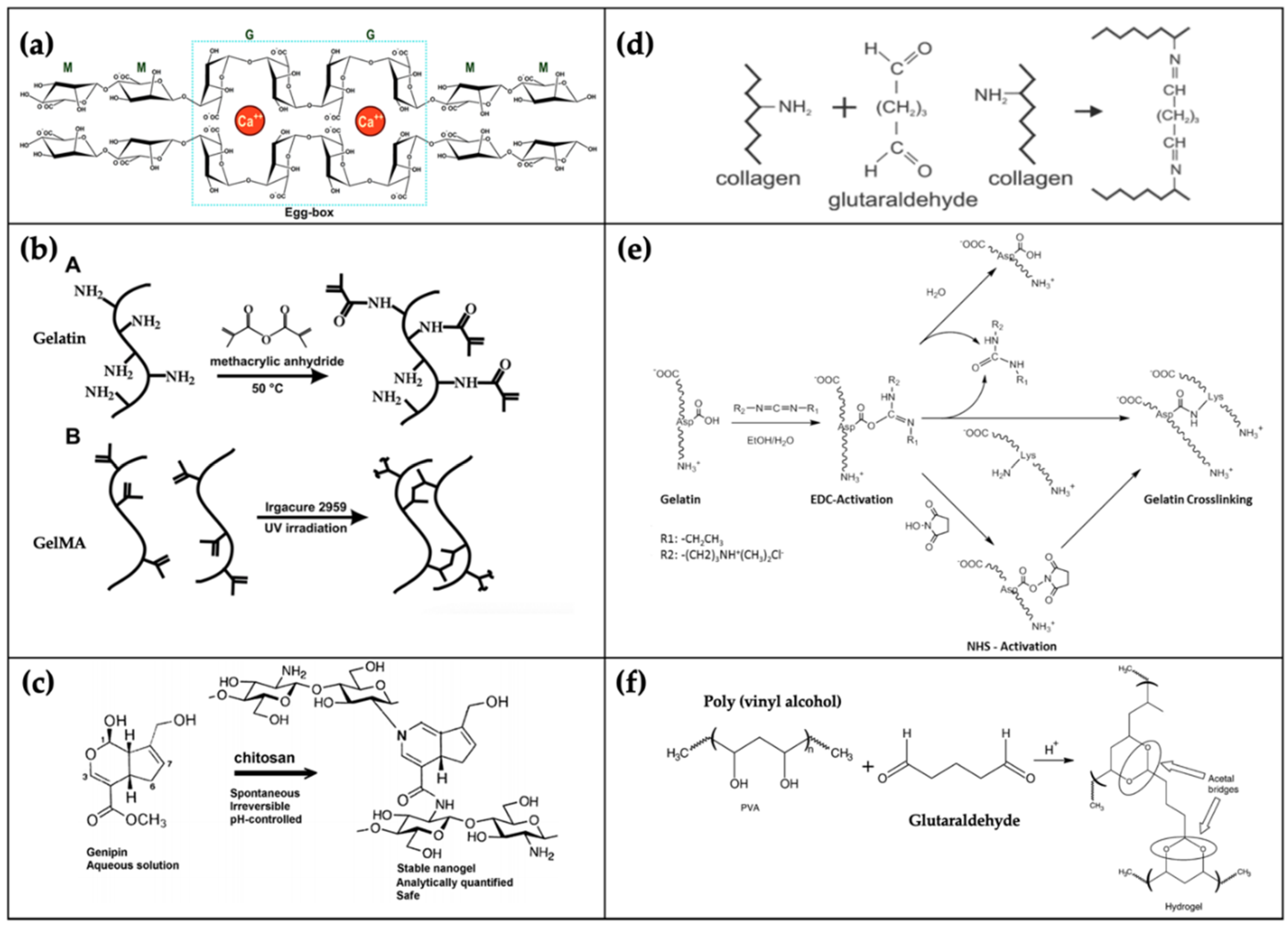 Polymers 12 02958 g004