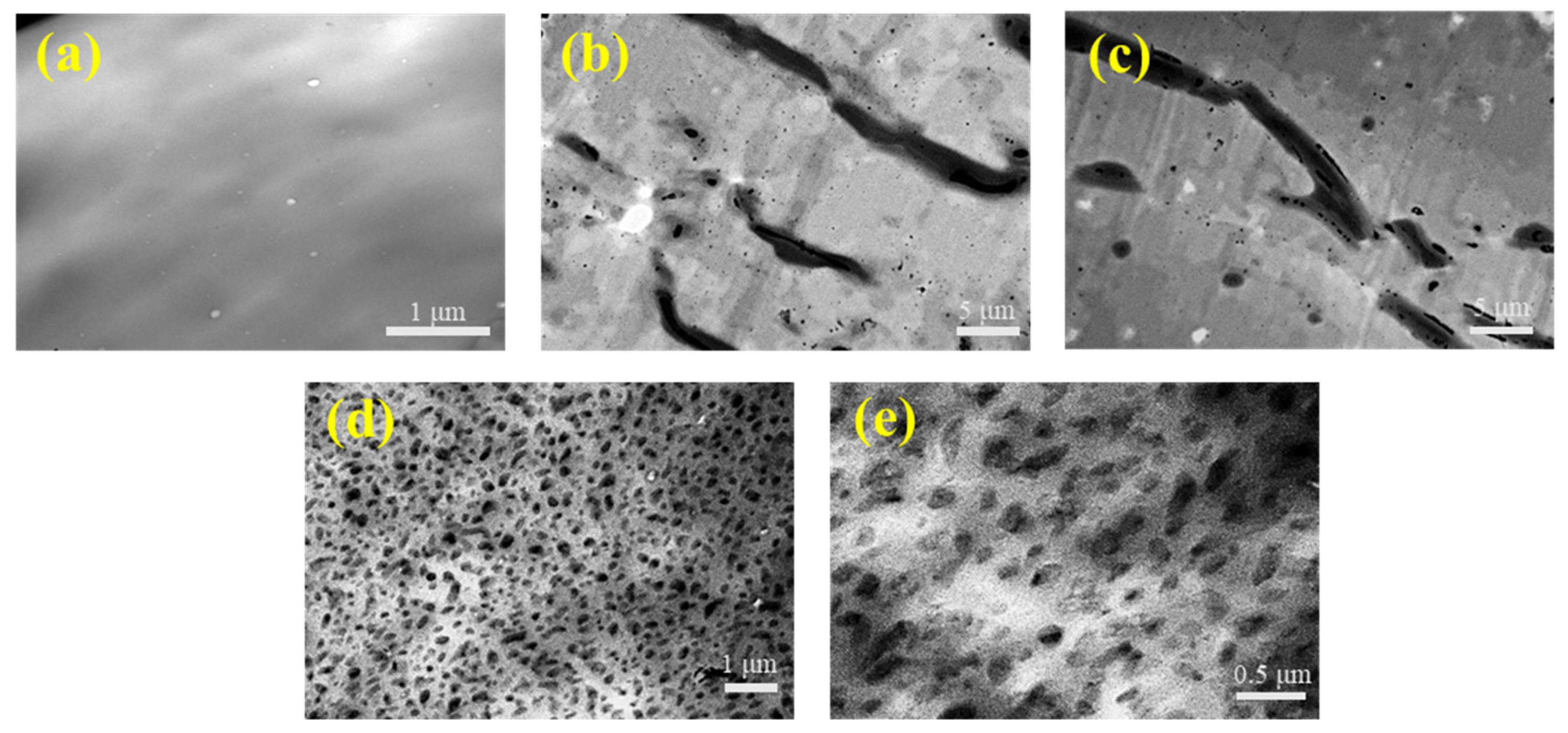 Polymers 12 02961 g001