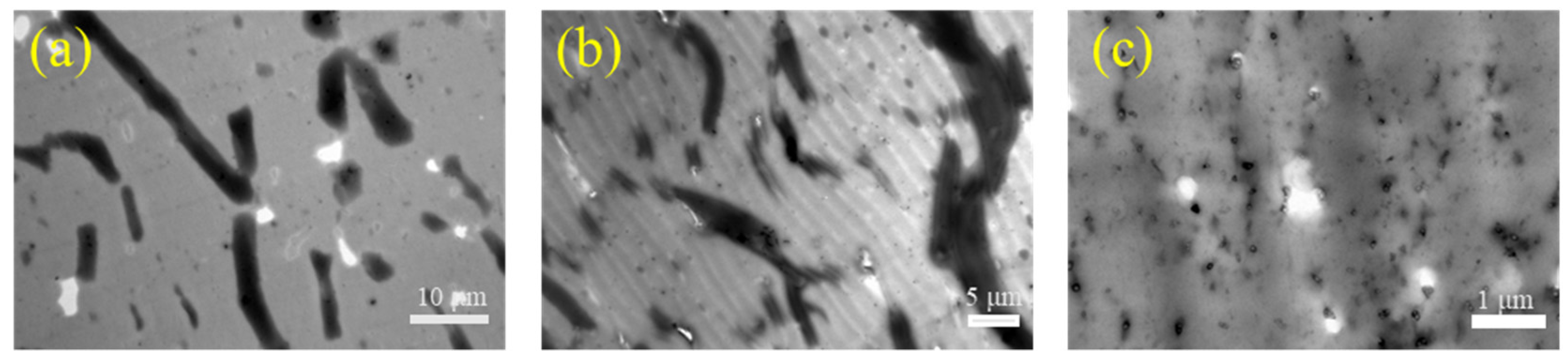 Polymers 12 02961 g003