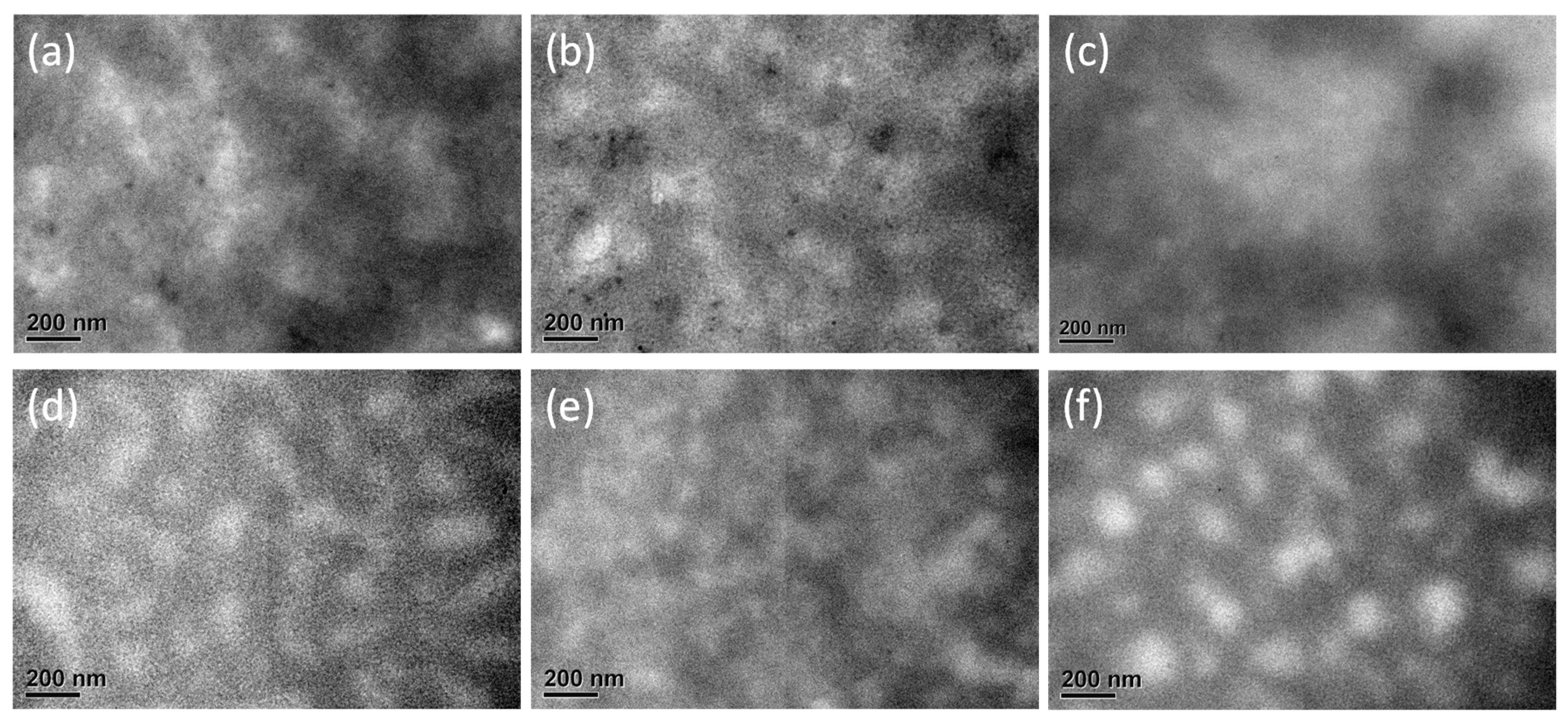 Polymers 12 02964 g007