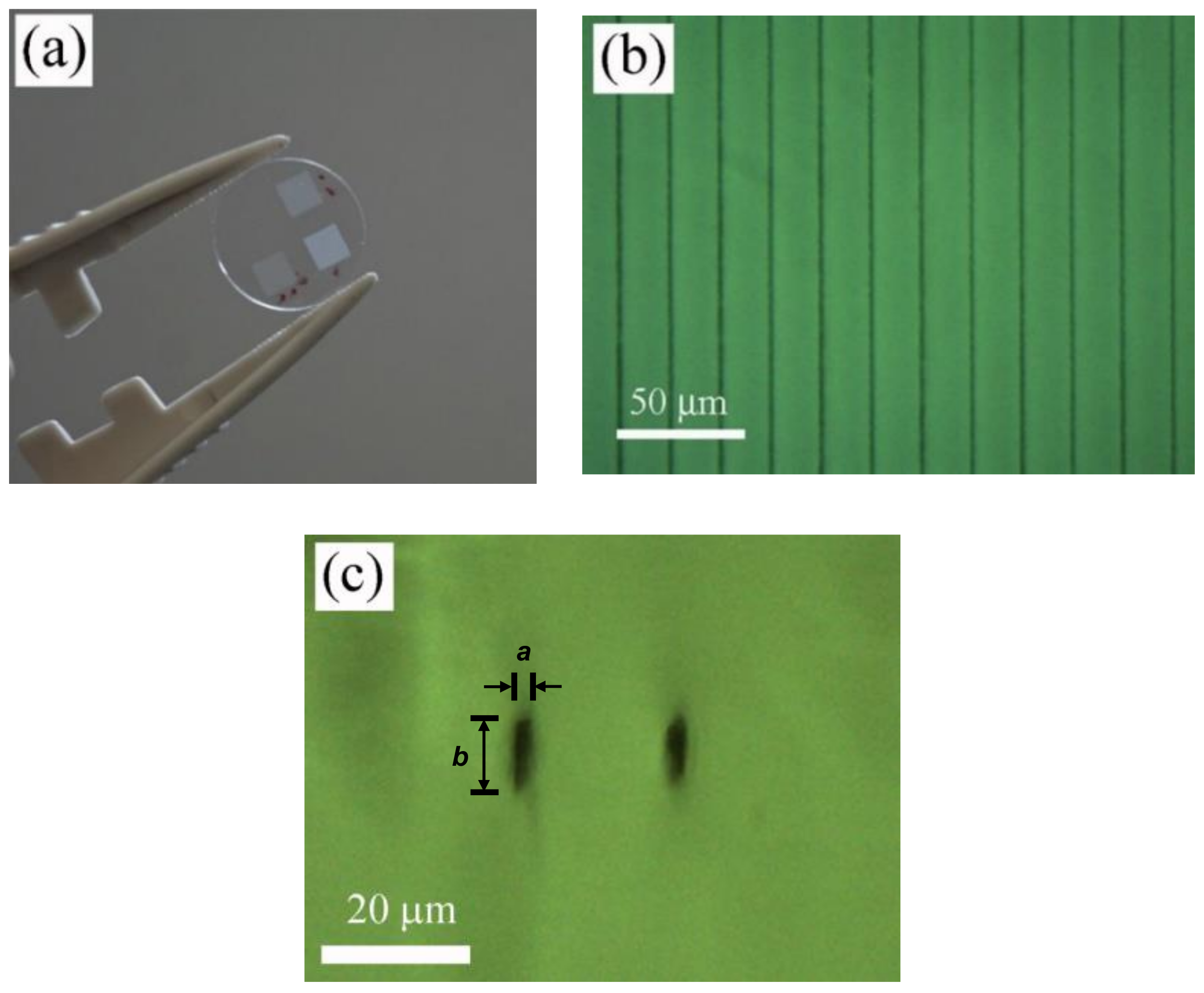 Polymers 12 02965 g002