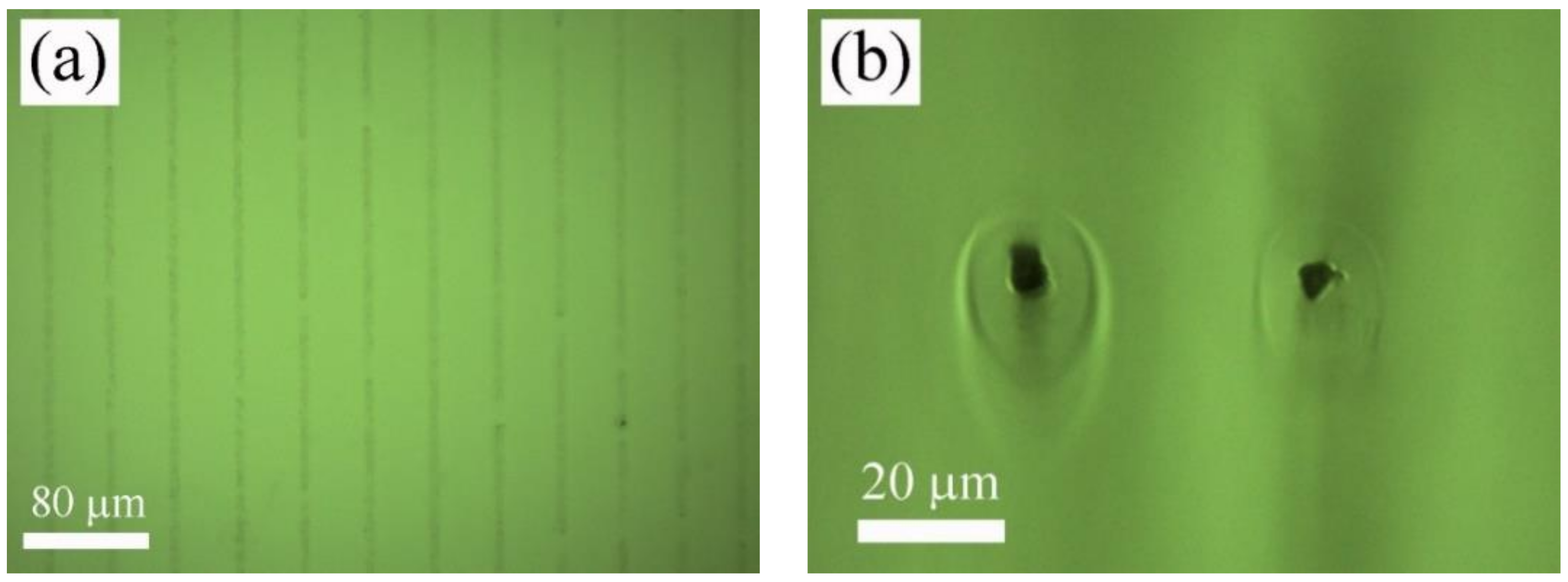 Polymers 12 02965 g003