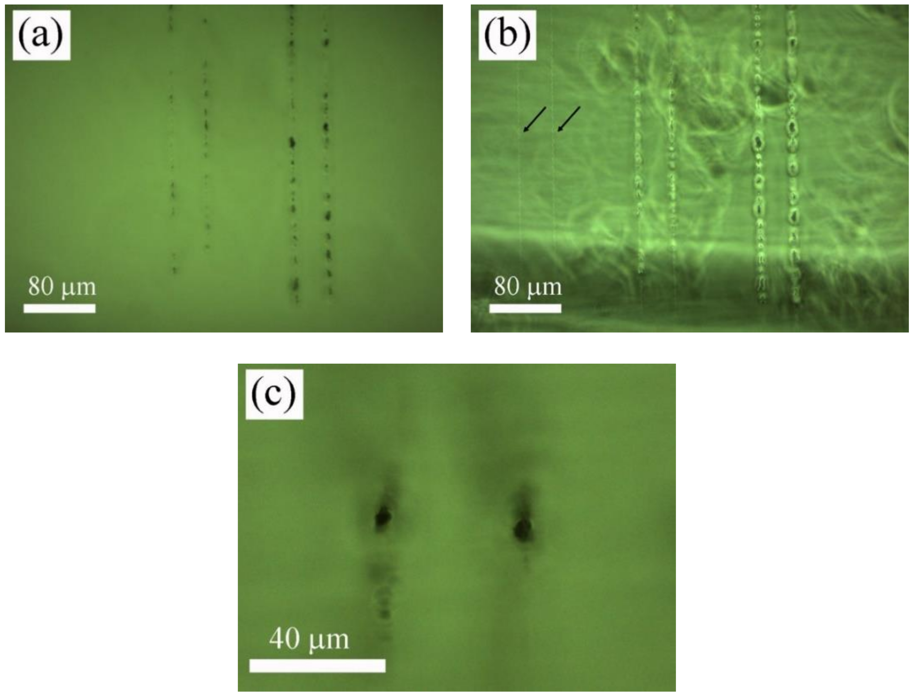 Polymers 12 02965 g004