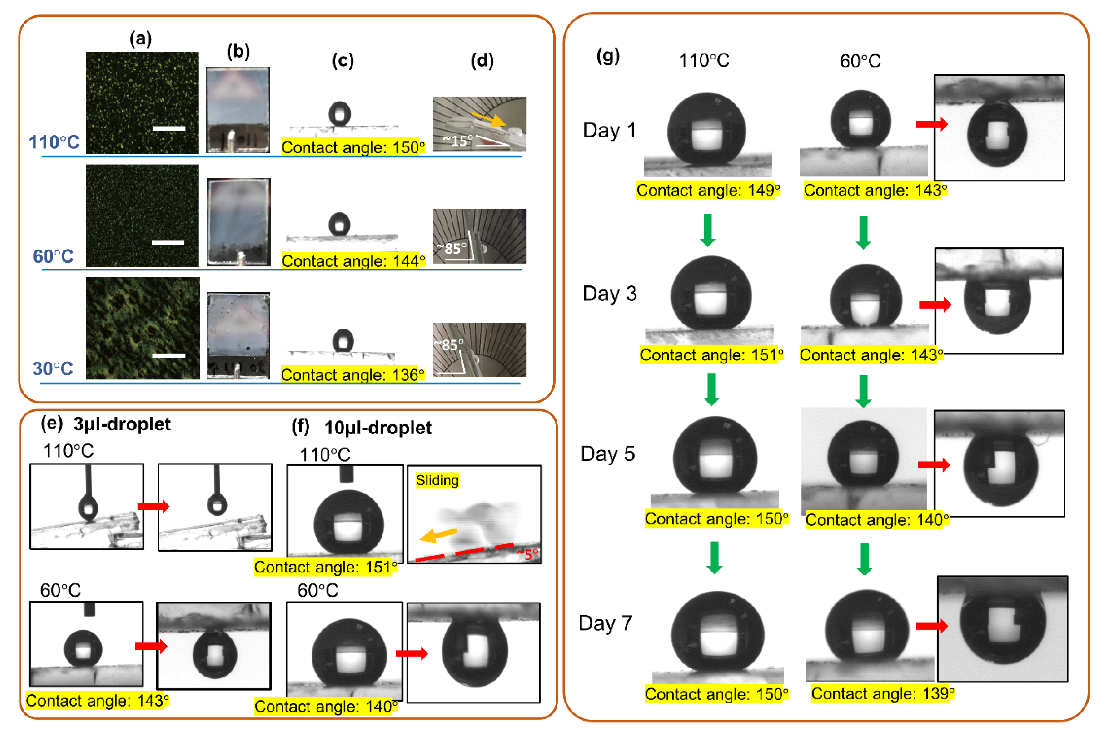 Polymers 12 02968 g004