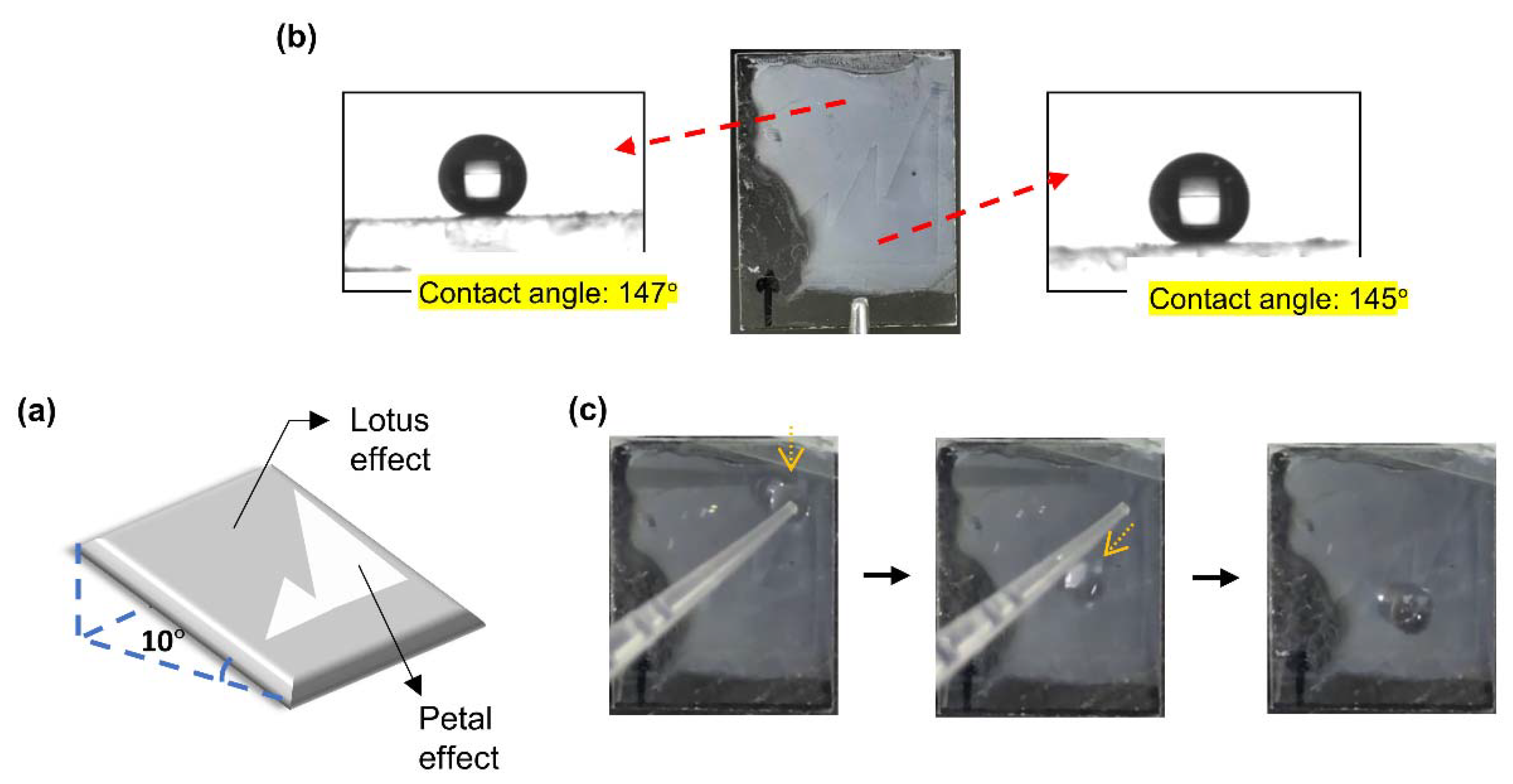 Polymers 12 02968 g006