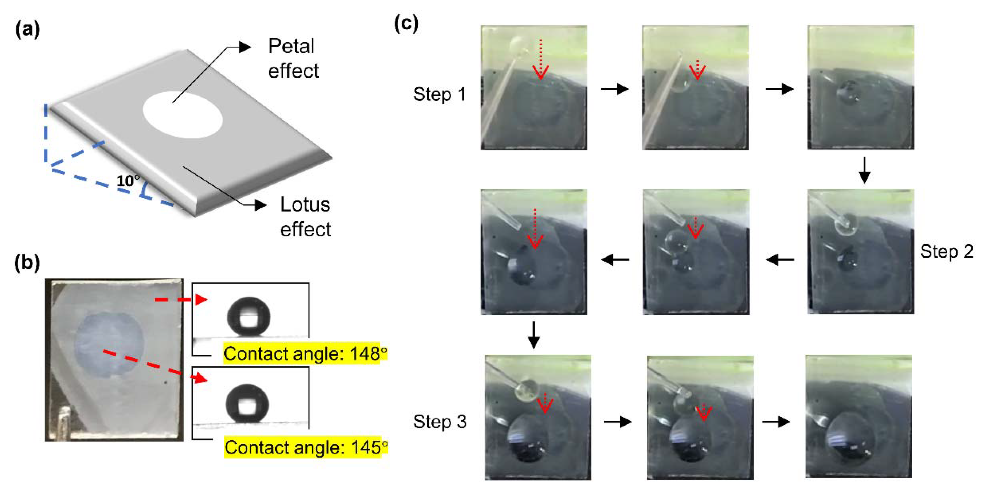 Polymers 12 02968 g007
