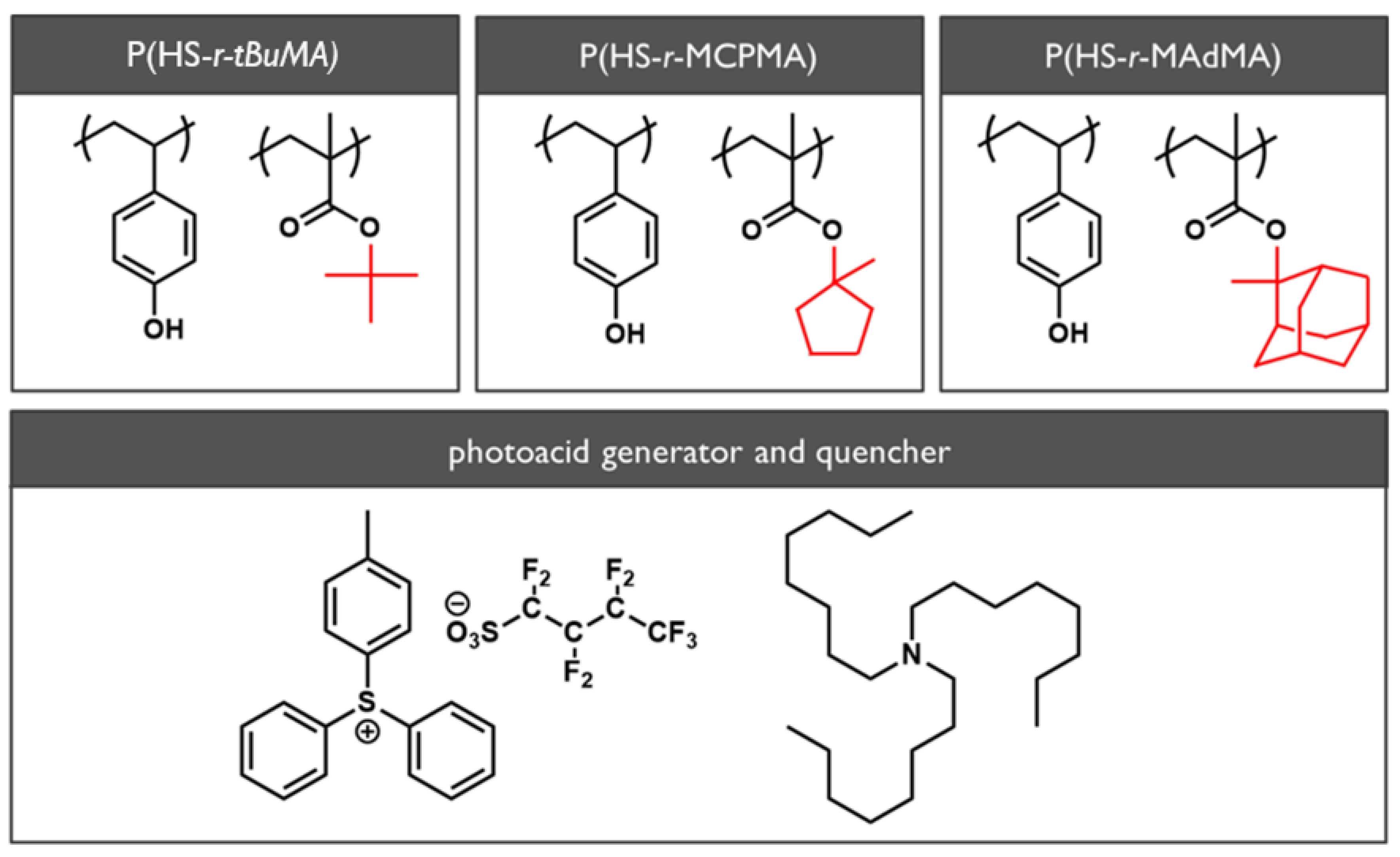 Polymers 12 02971 g001
