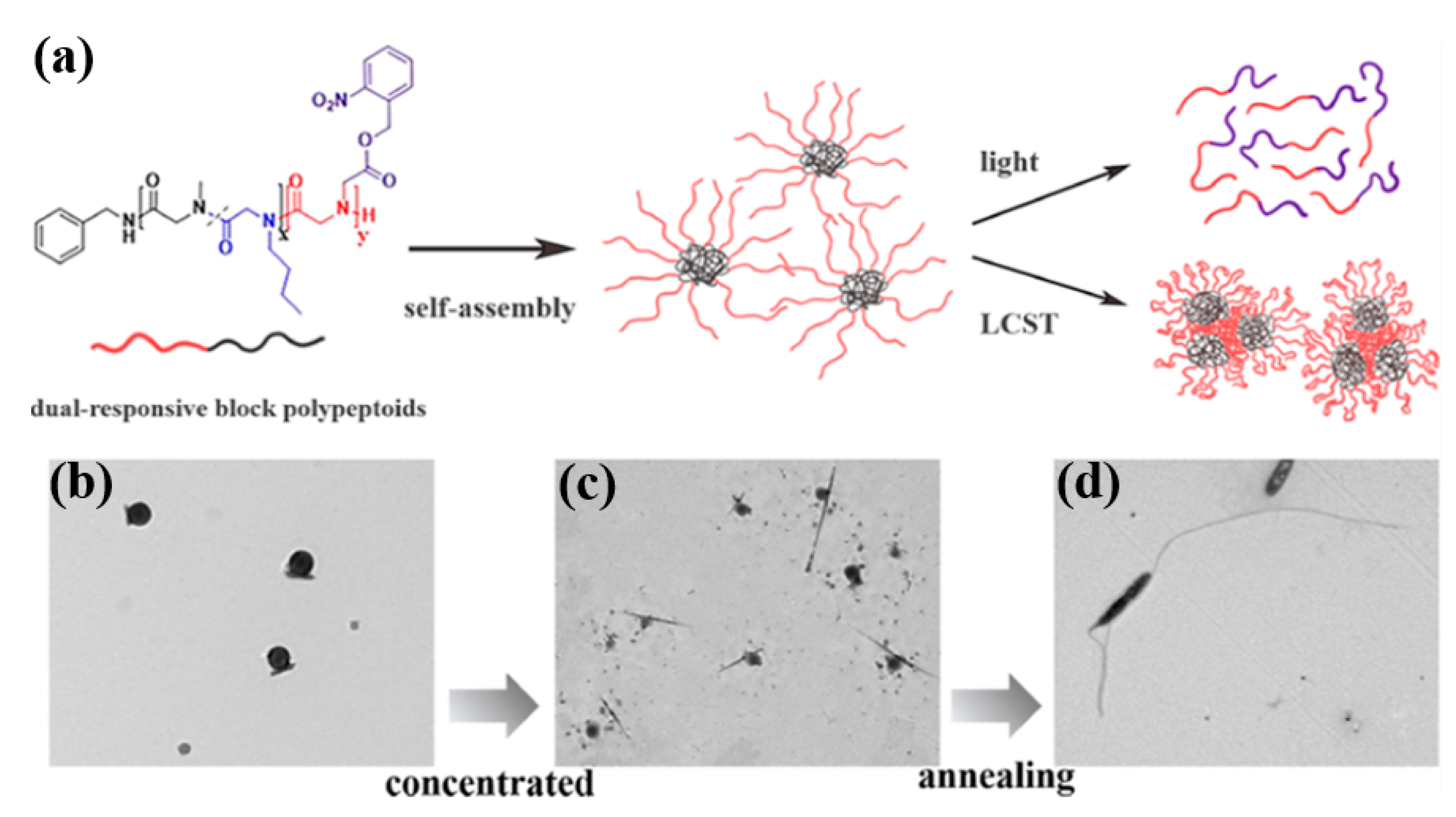 Polymers 12 02973 g009 Polymers 12 02973 g009