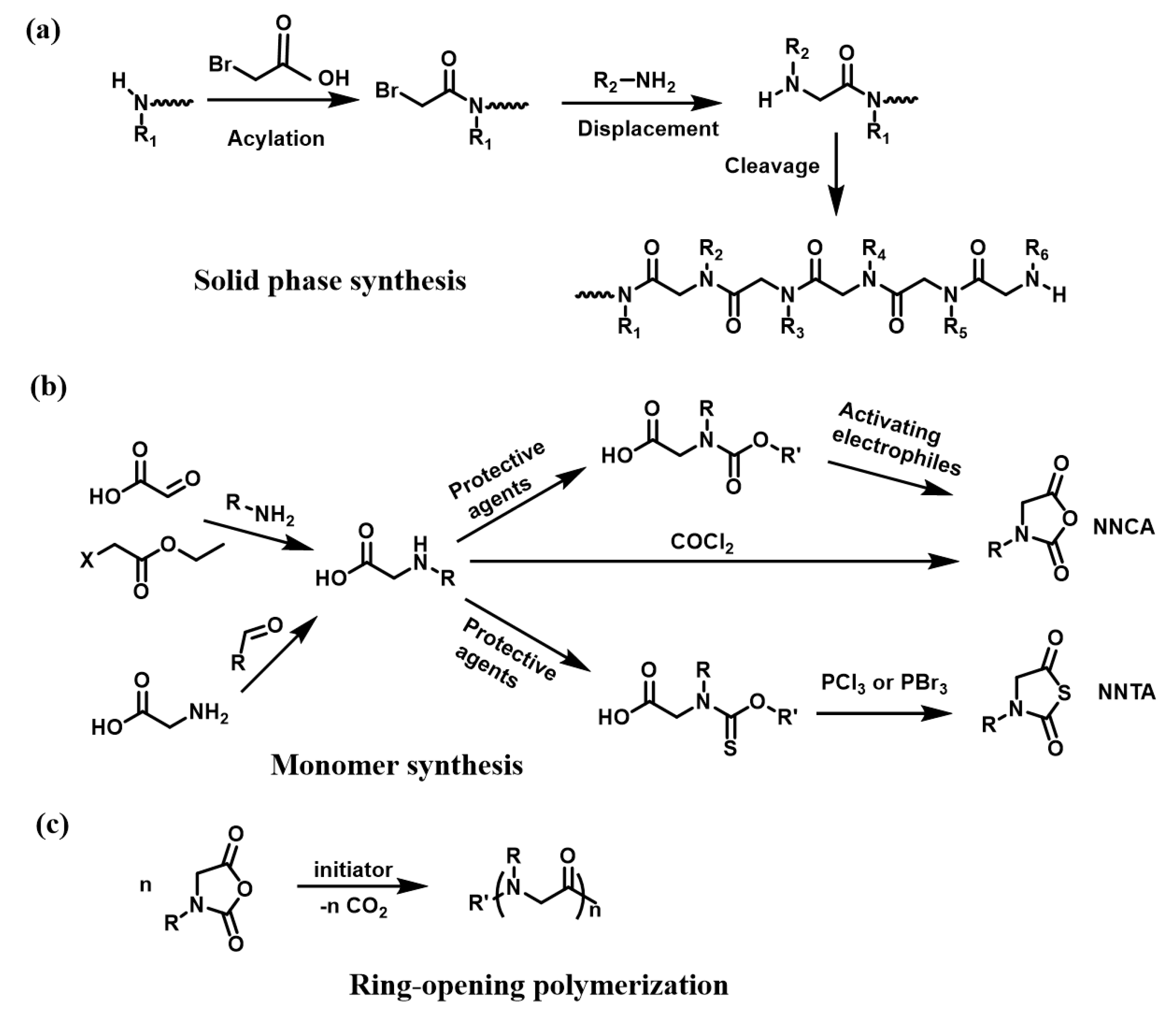 Polymers 12 02973 sch002 Polymers 12 02973 sch002