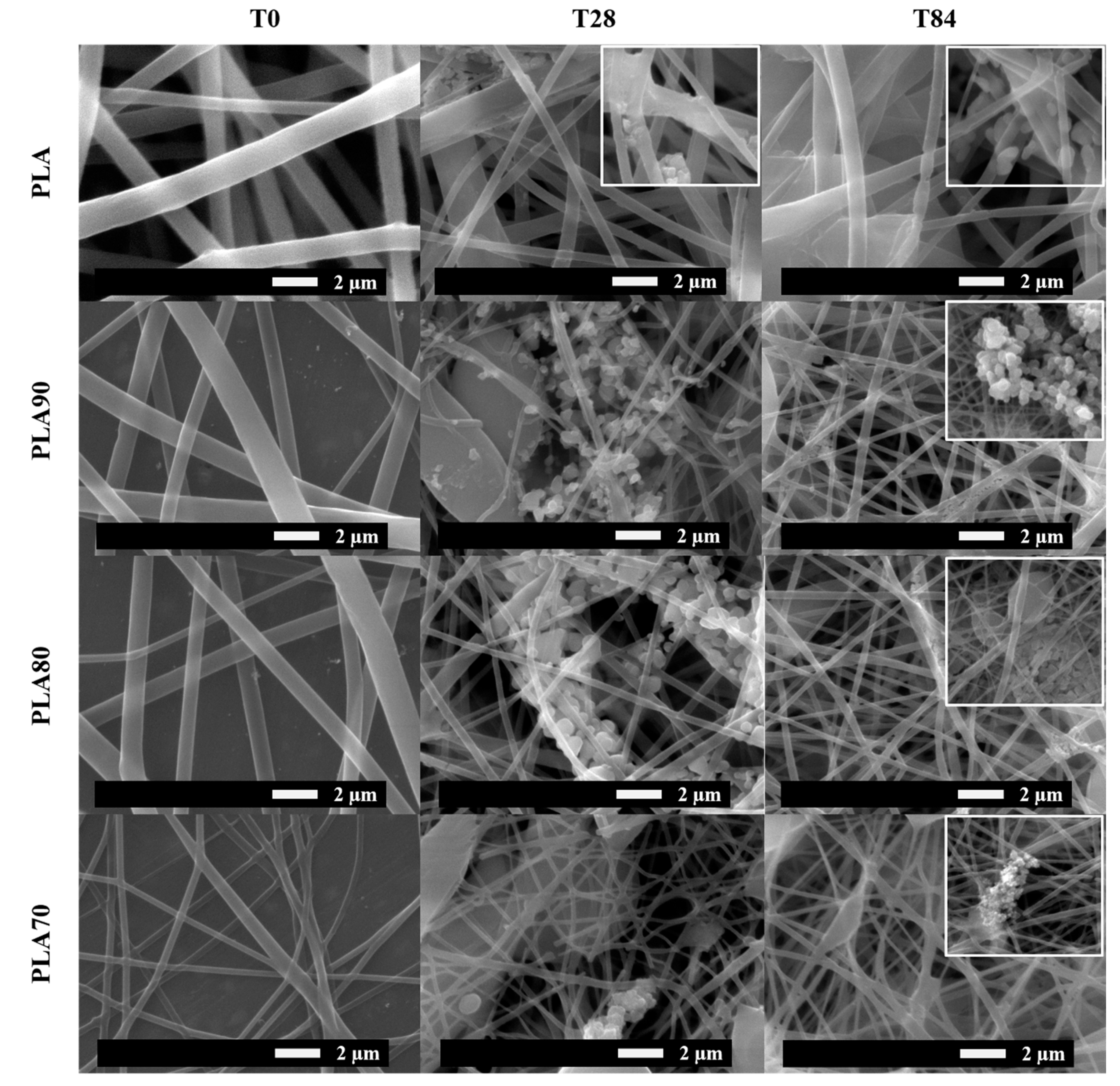 Polymers 12 02975 g001 Polymers 12 02975 g001