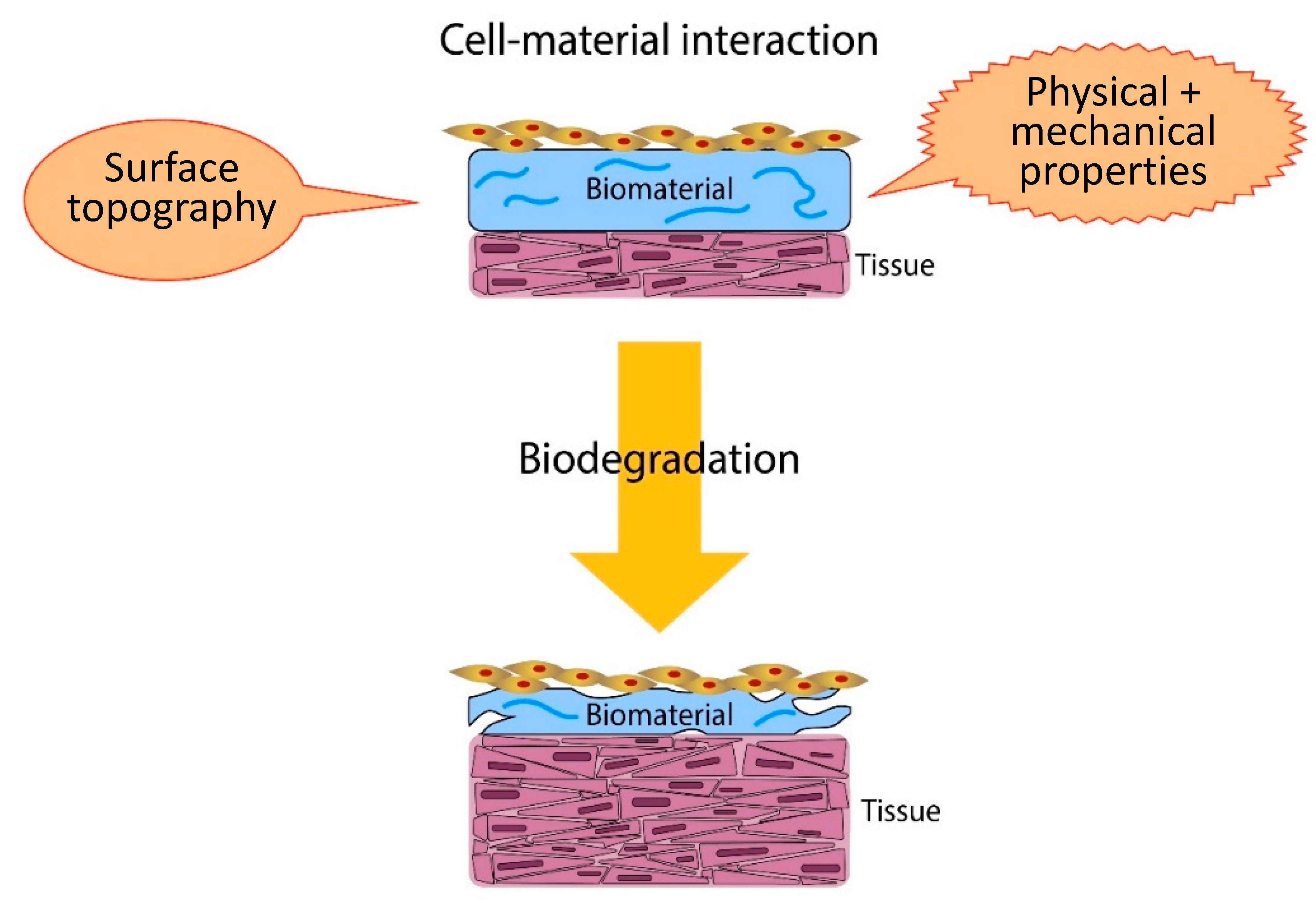 Polymers 12 02979 g001 Polymers 12 02979 g001