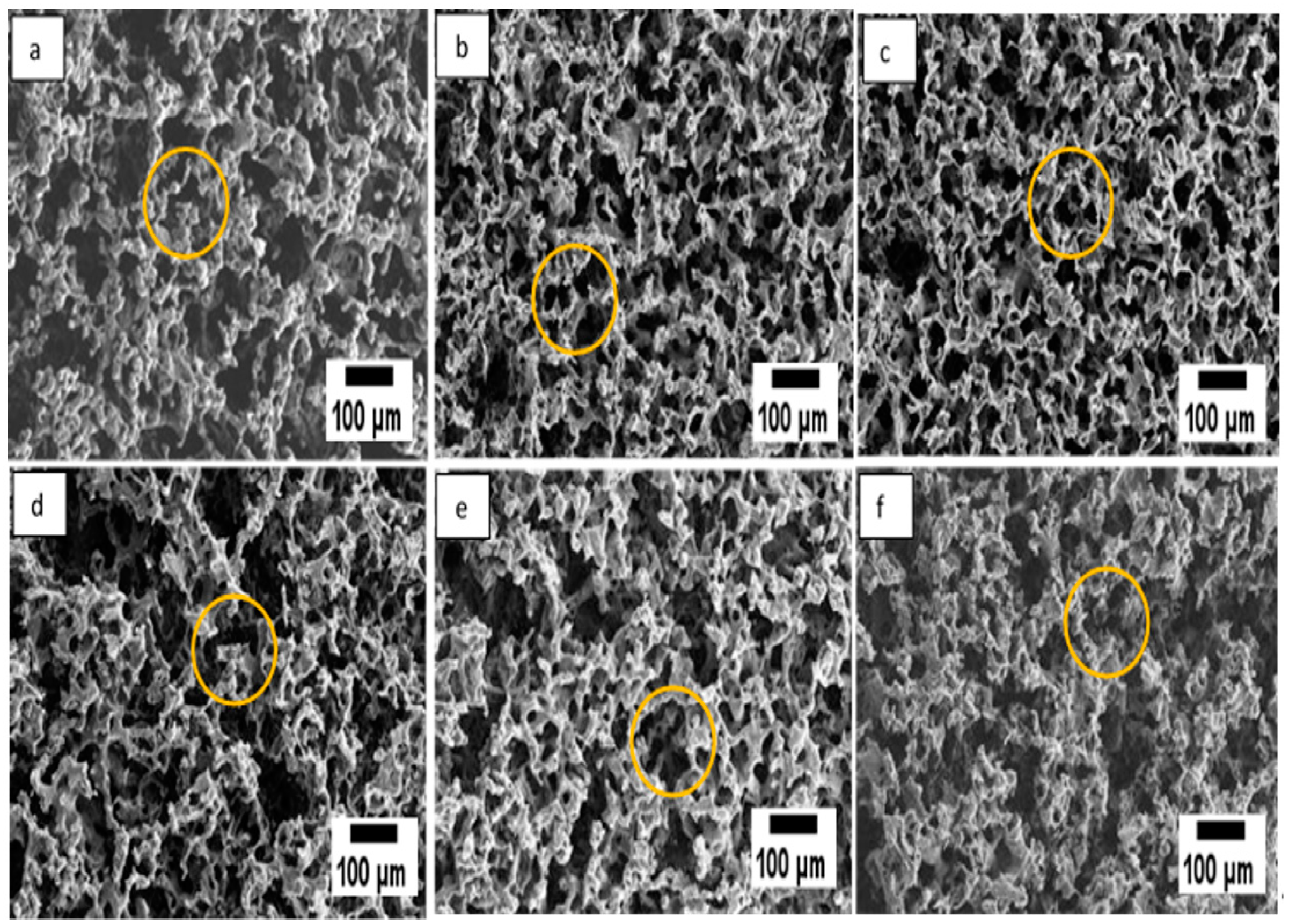 Polymers 12 02979 g003 Polymers 12 02979 g003