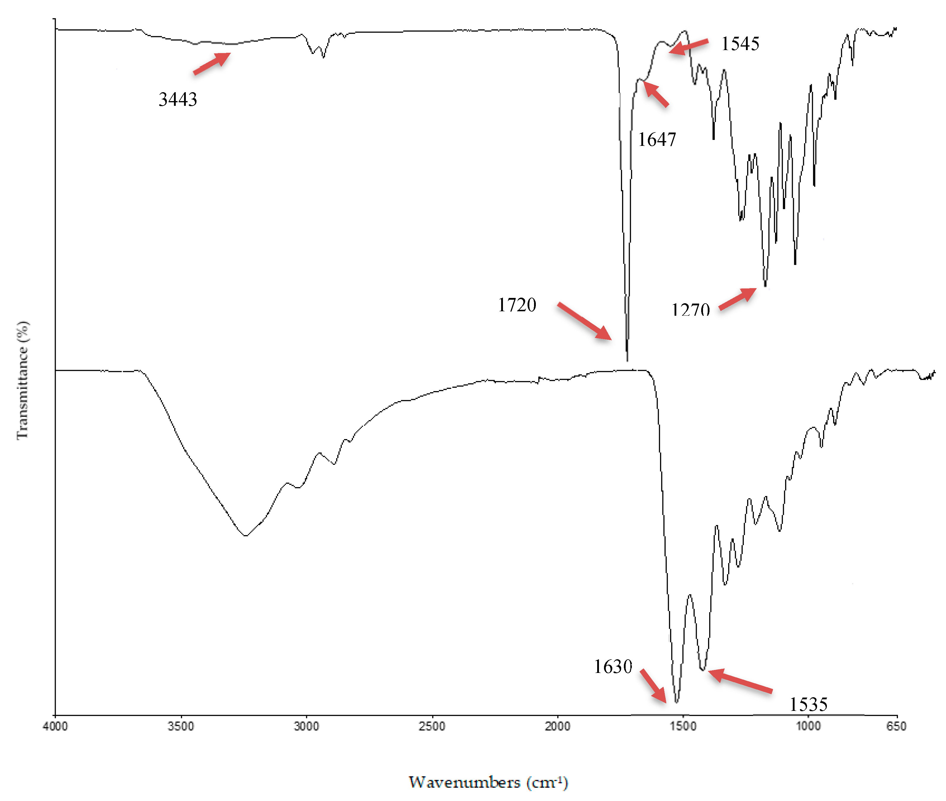 Polymers 12 02979 g004 Polymers 12 02979 g004