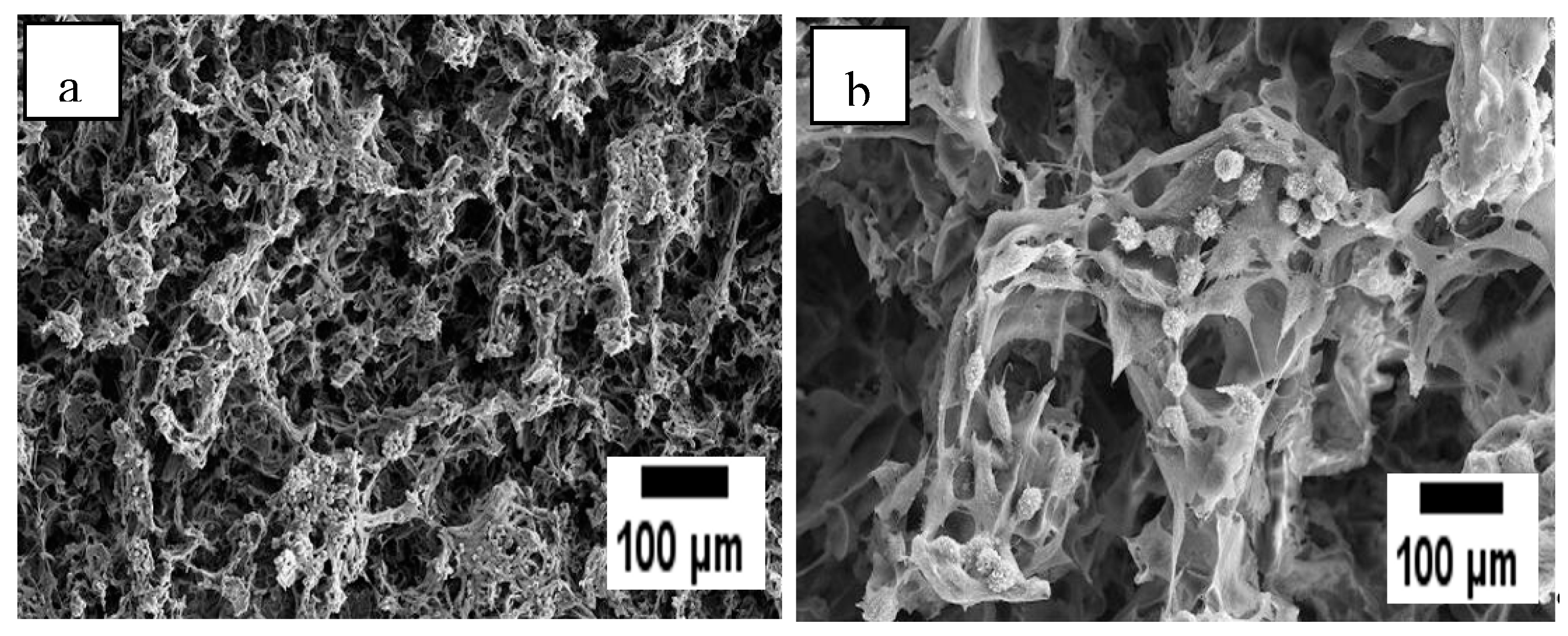 Polymers 12 02979 g008 Polymers 12 02979 g008
