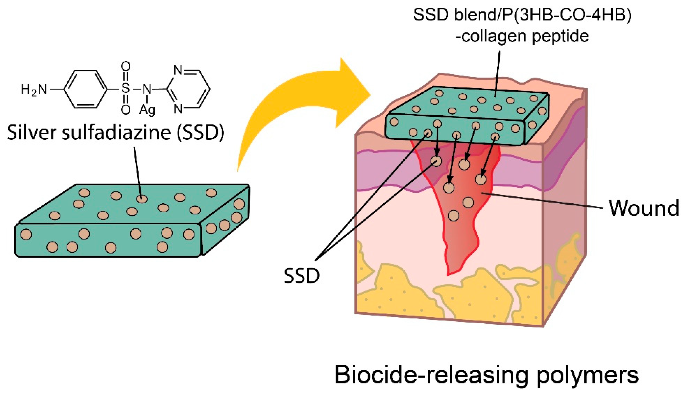 Polymers 12 02979 g009 Polymers 12 02979 g009