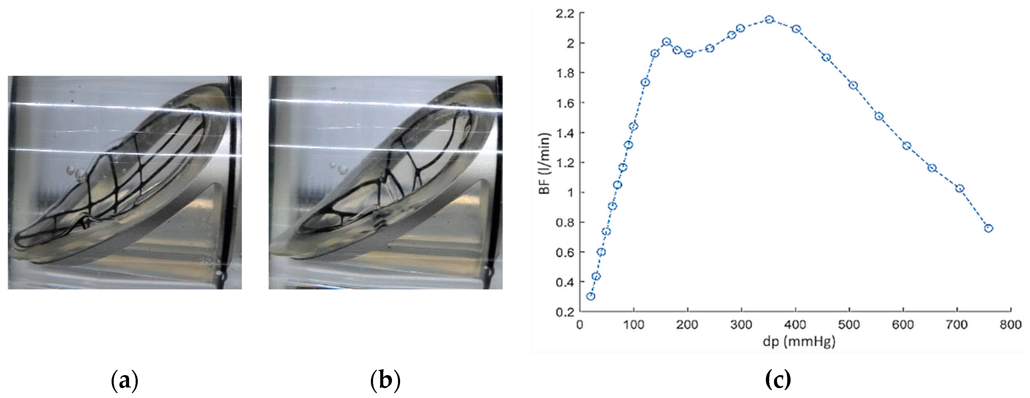 Polymers 12 02986 g012