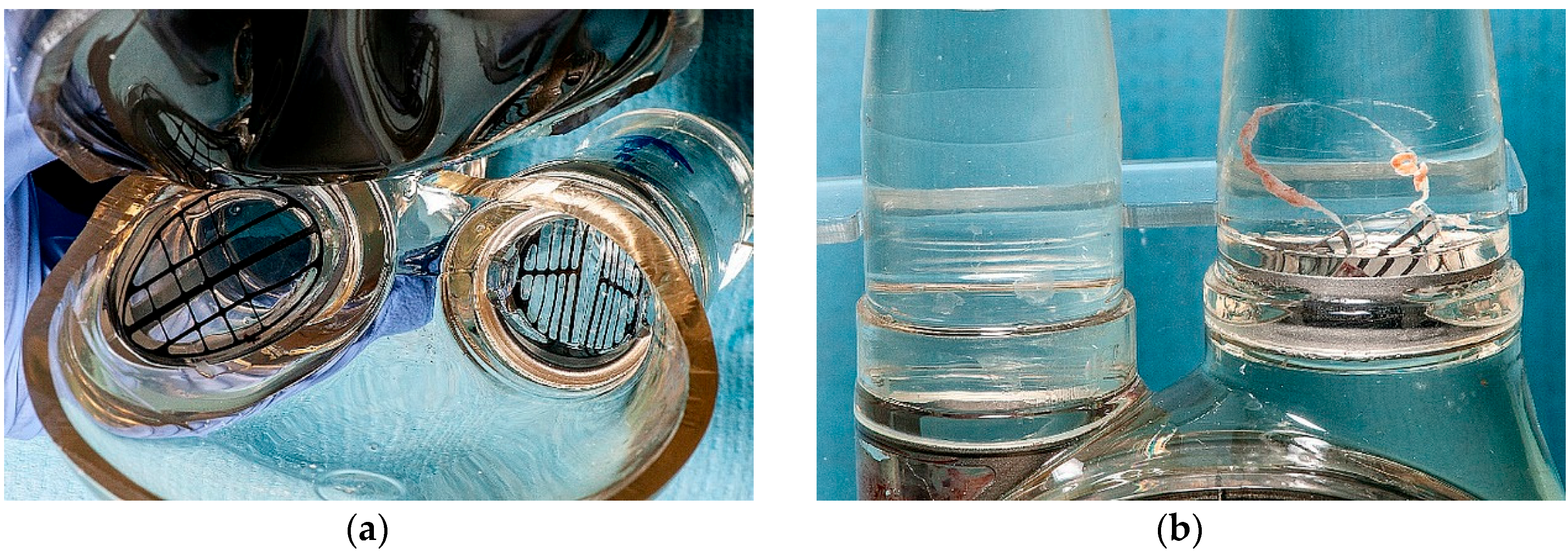 Polymers 12 02986 g019