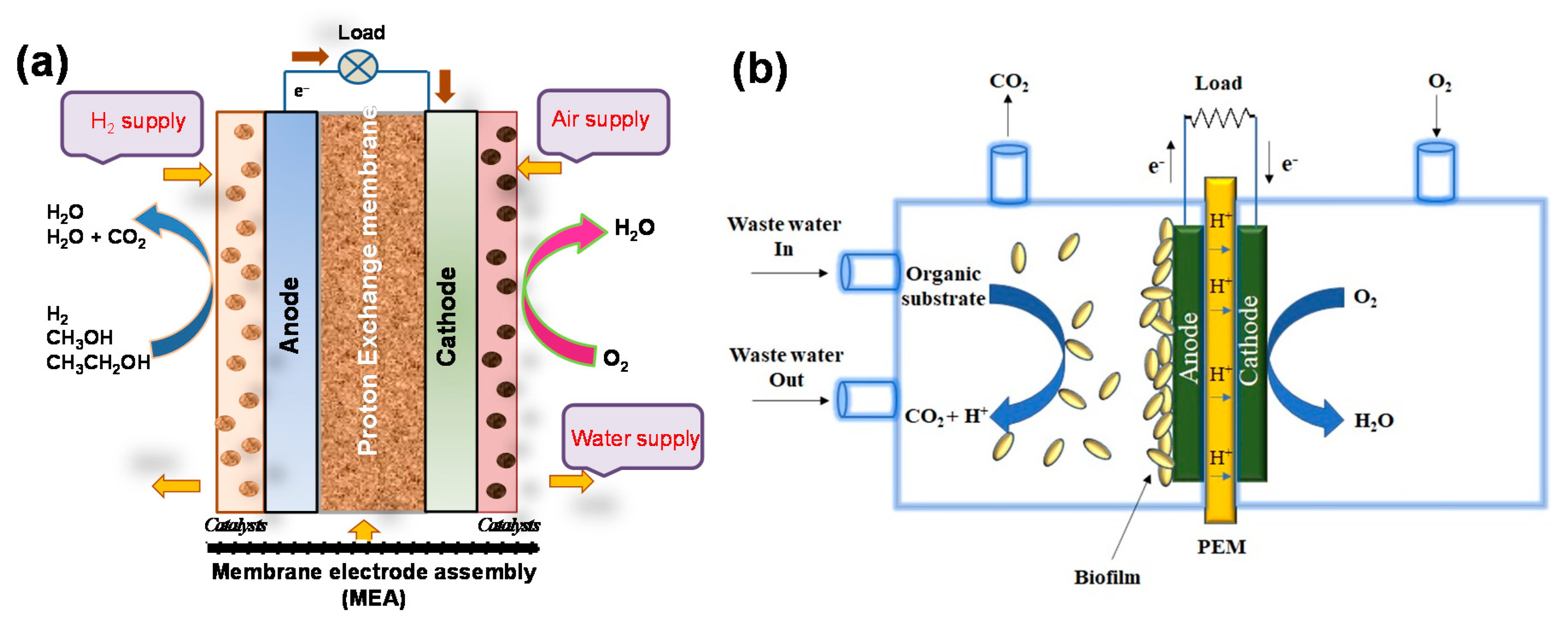 Polymers 12 02993 g002