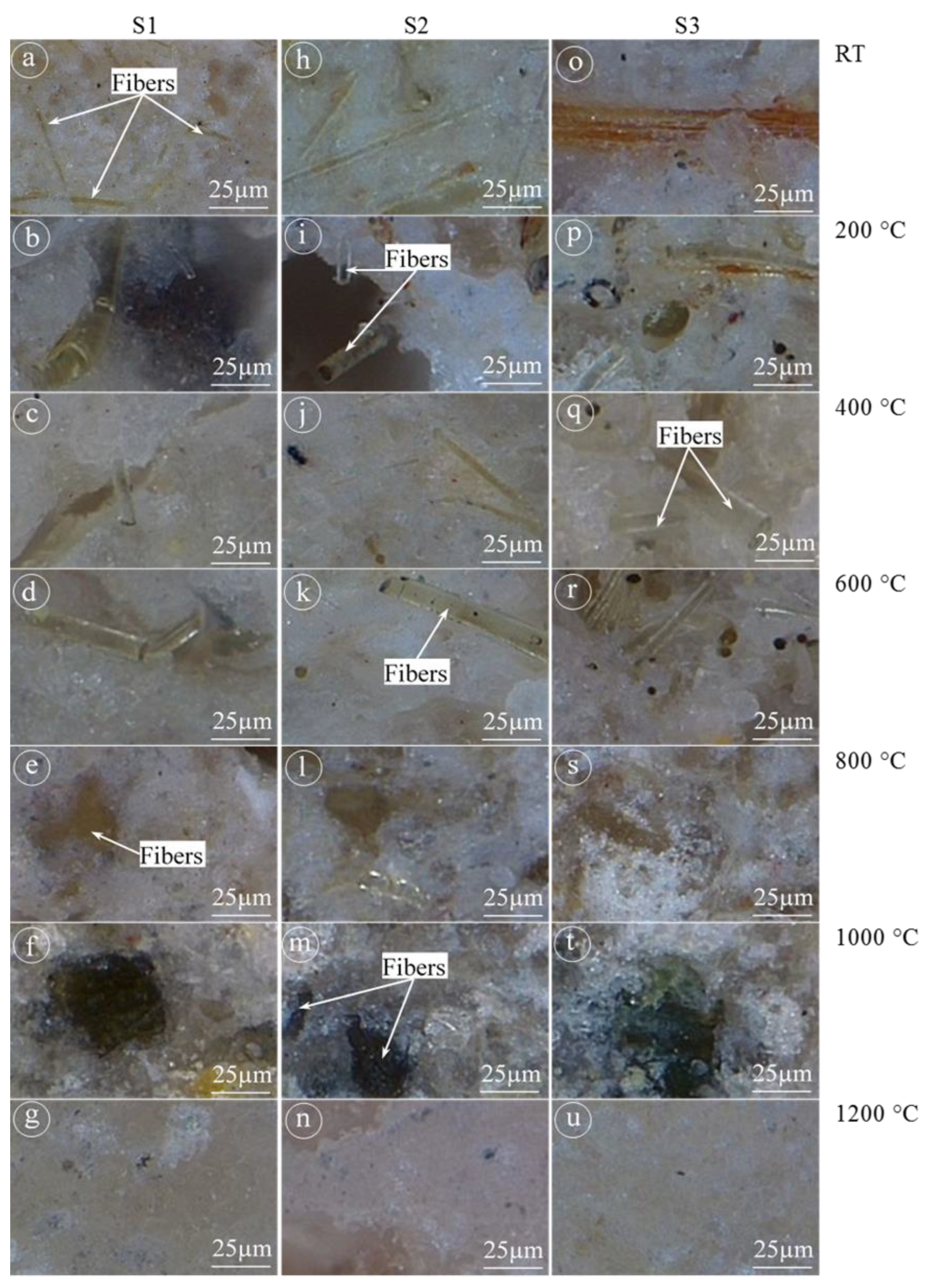 Polymers 12 02994 g007 Polymers 12 02994 g007