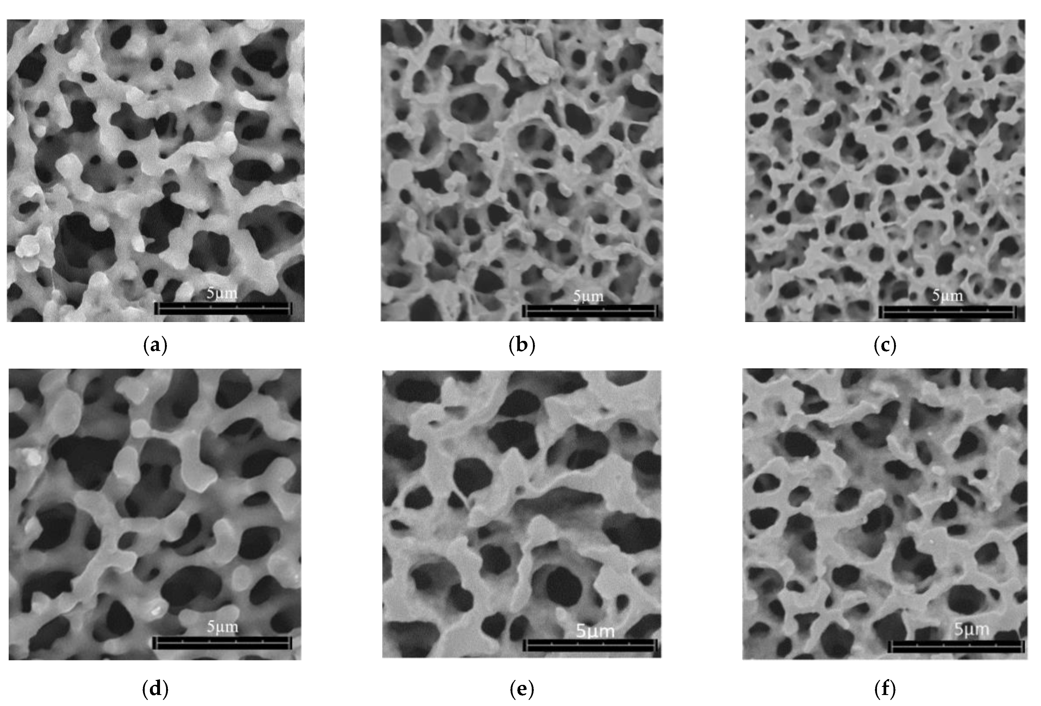 Polymers 12 02995 g002 Polymers 12 02995 g002