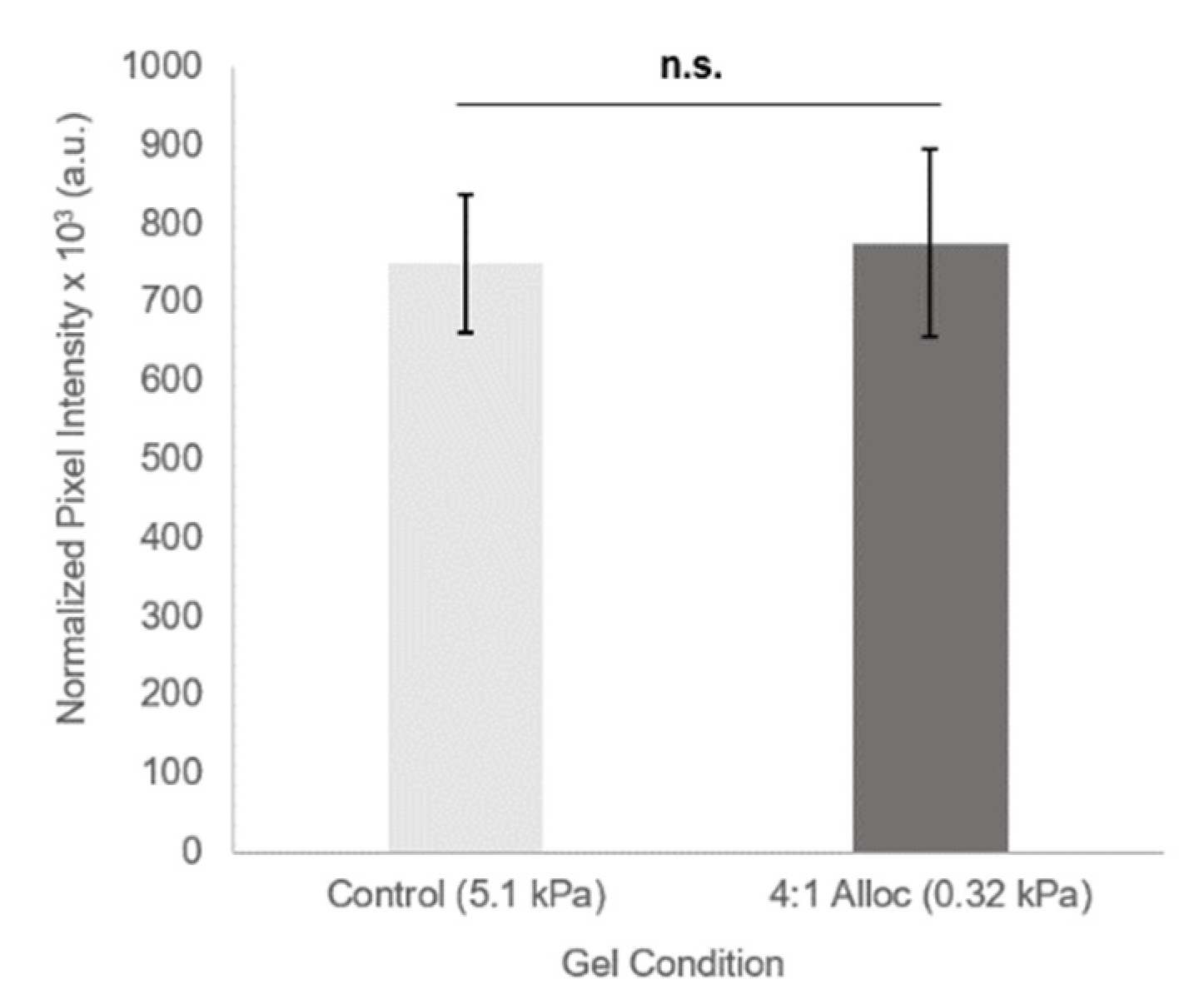 Polymers 12 03000 g005