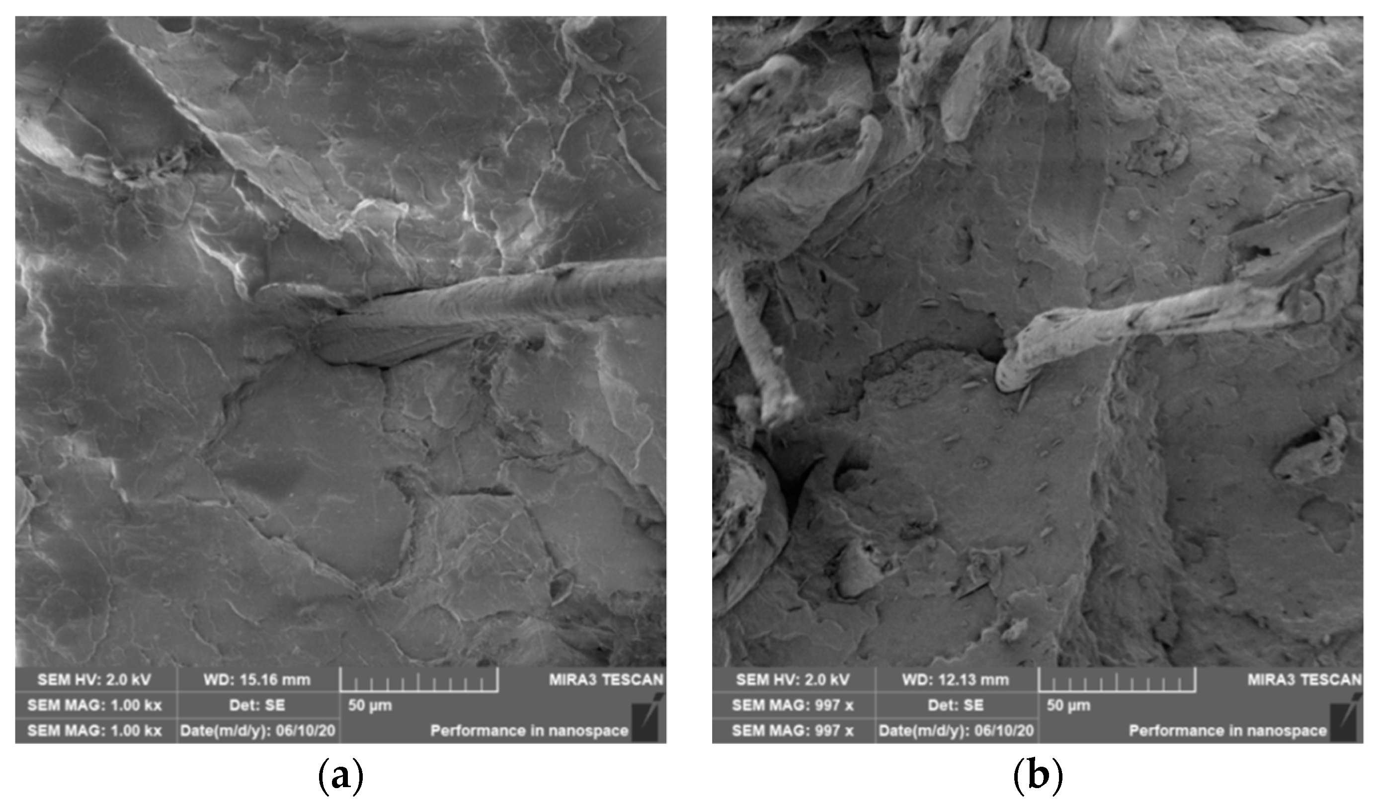 Polymers 12 03006 g005