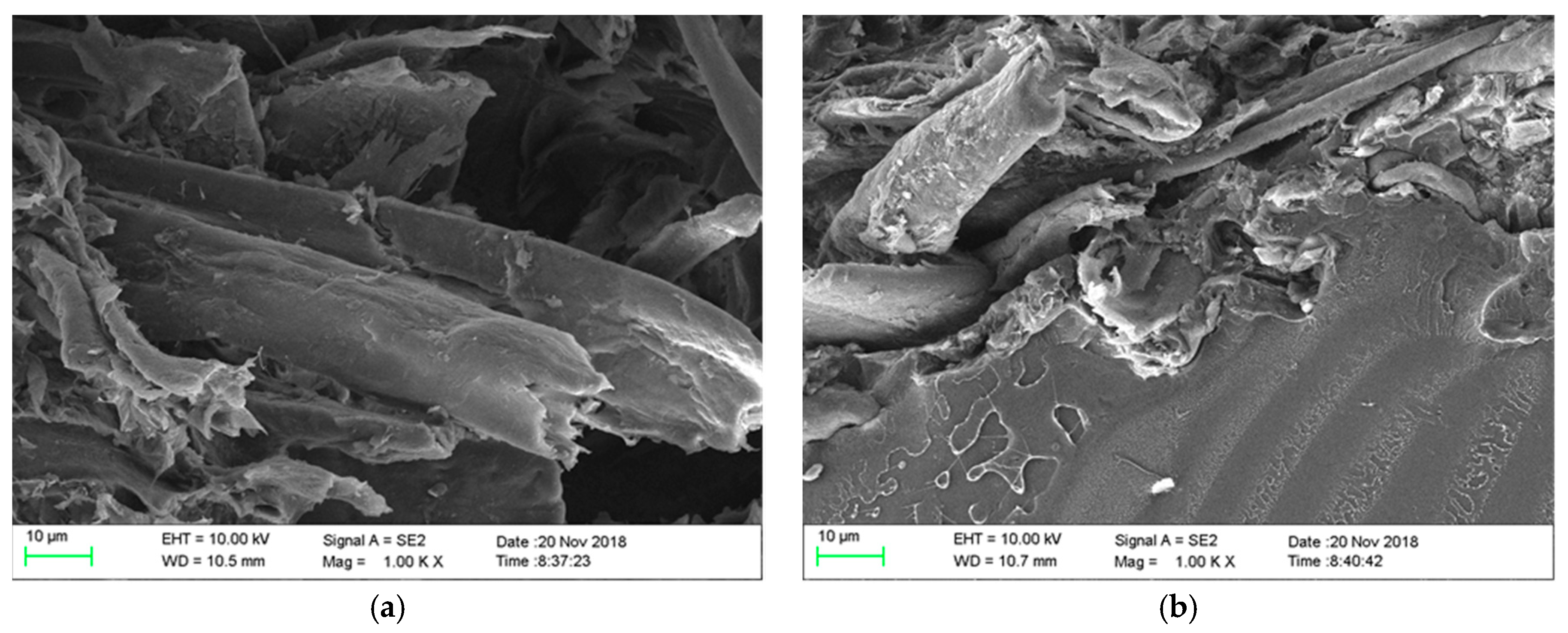 Polymers 12 03006 g009