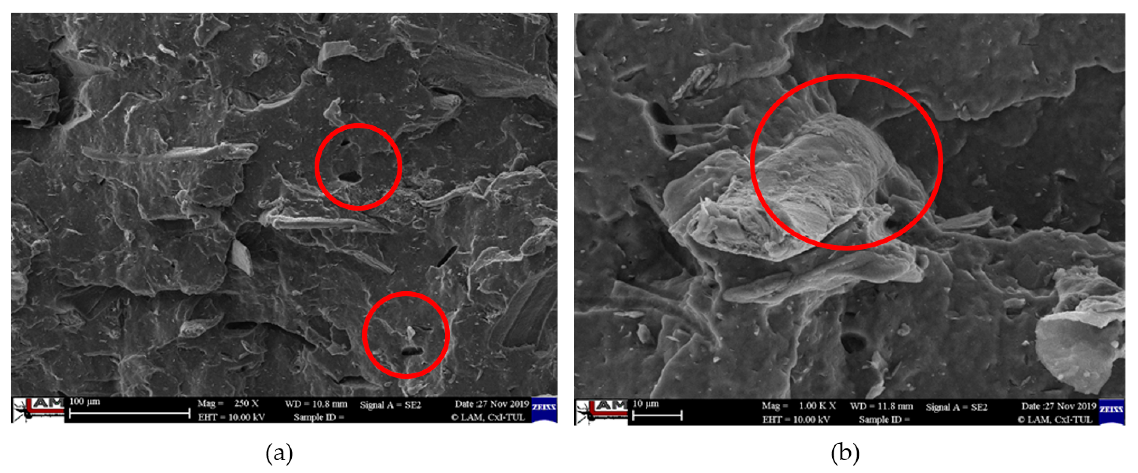 Polymers 12 03006 g010