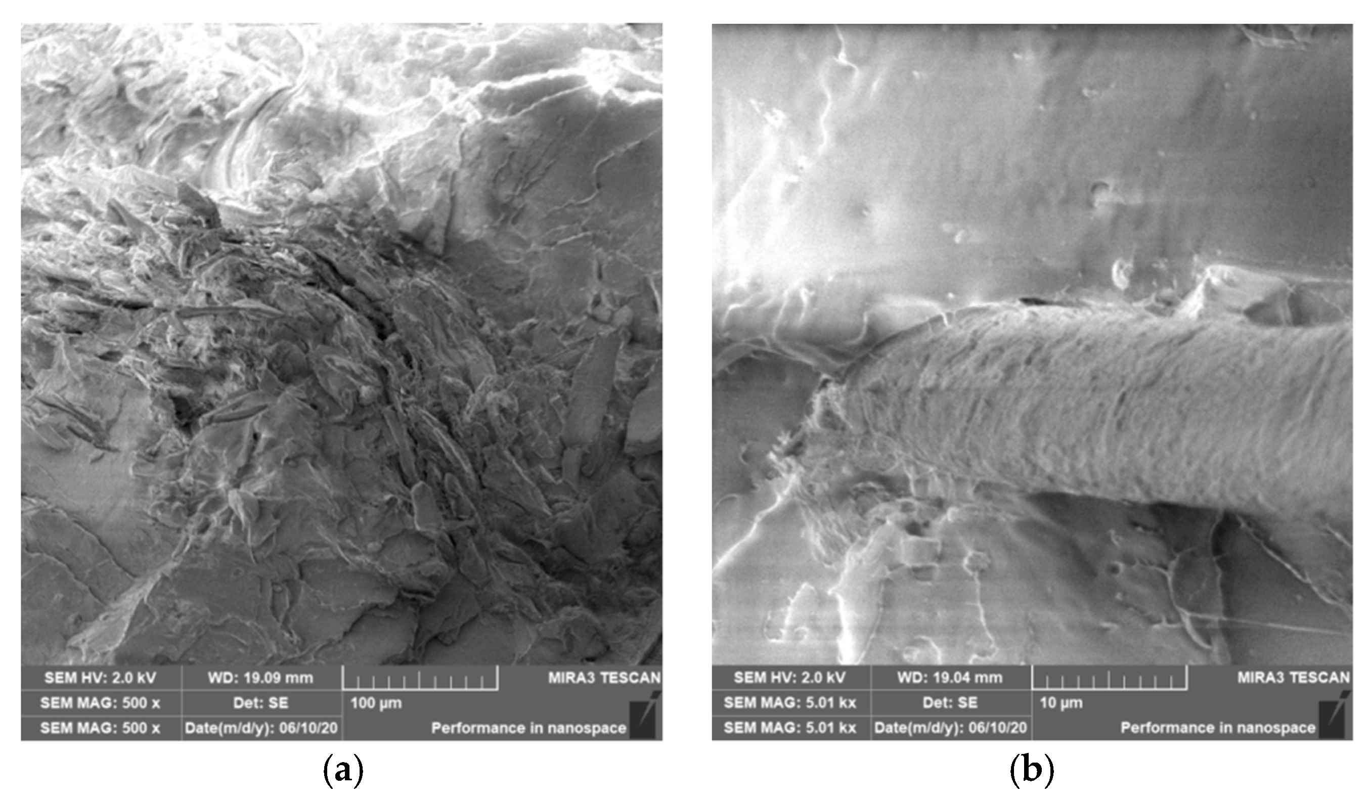 Polymers 12 03006 g013