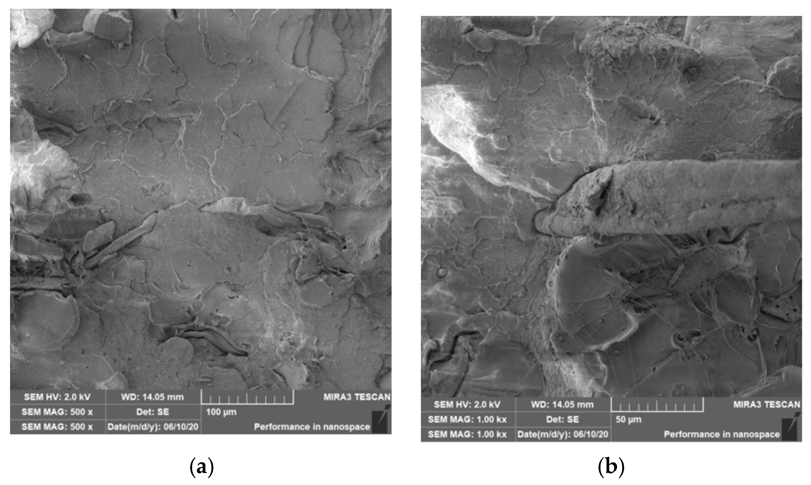 Polymers 12 03006 g014