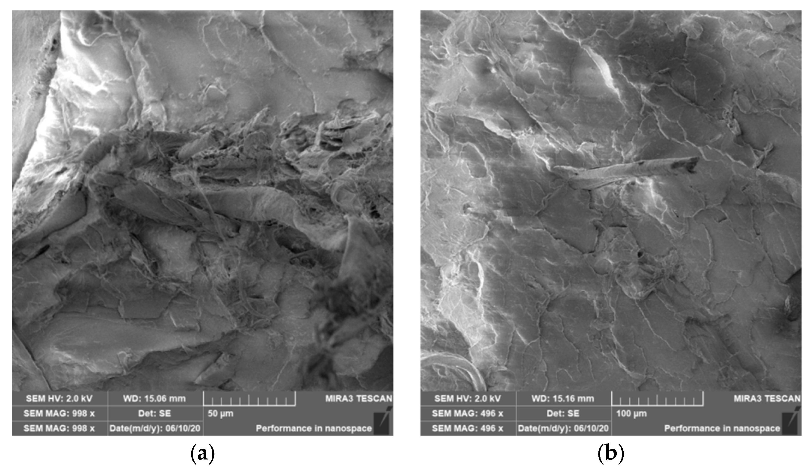 Polymers 12 03006 g015