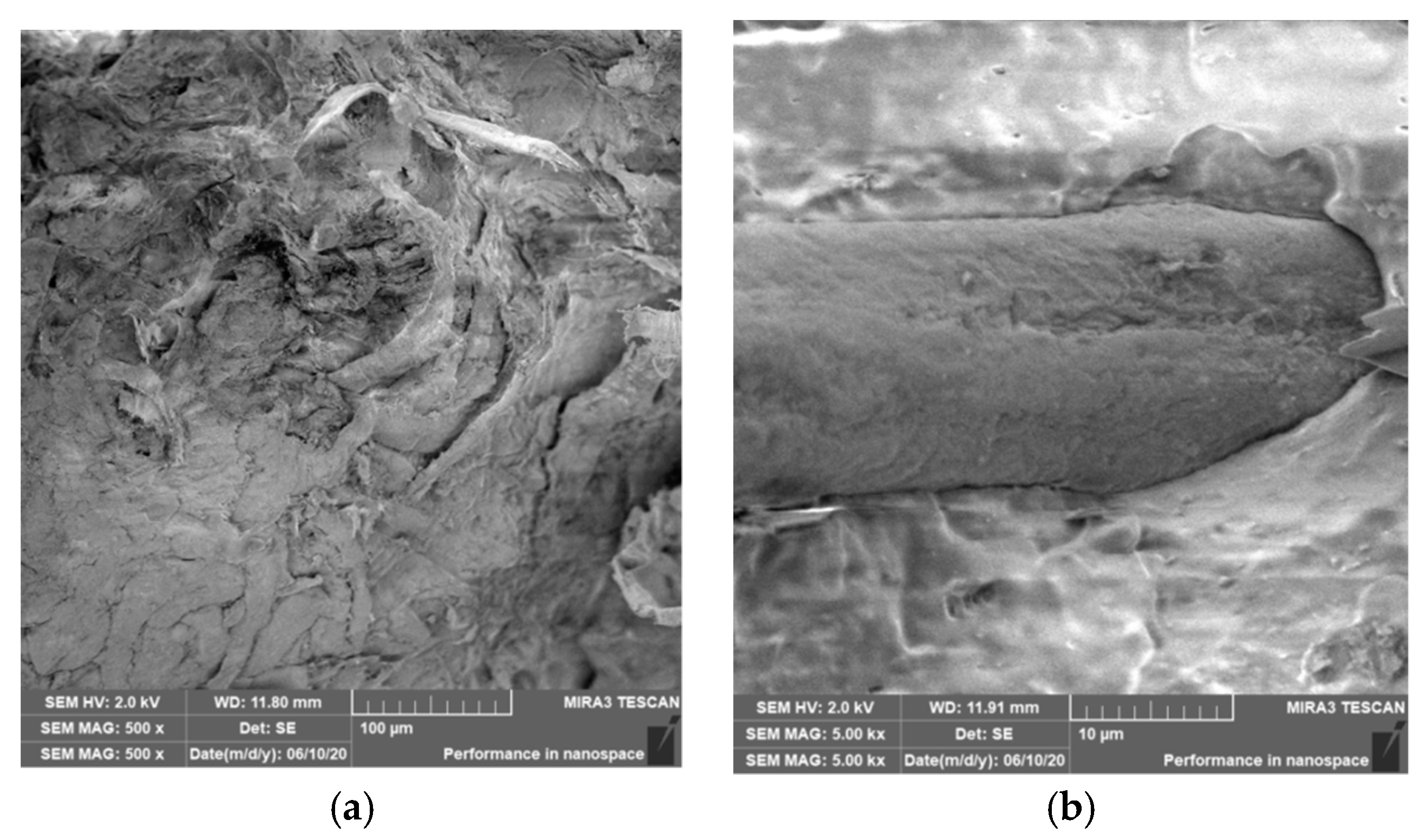 Polymers 12 03006 g018