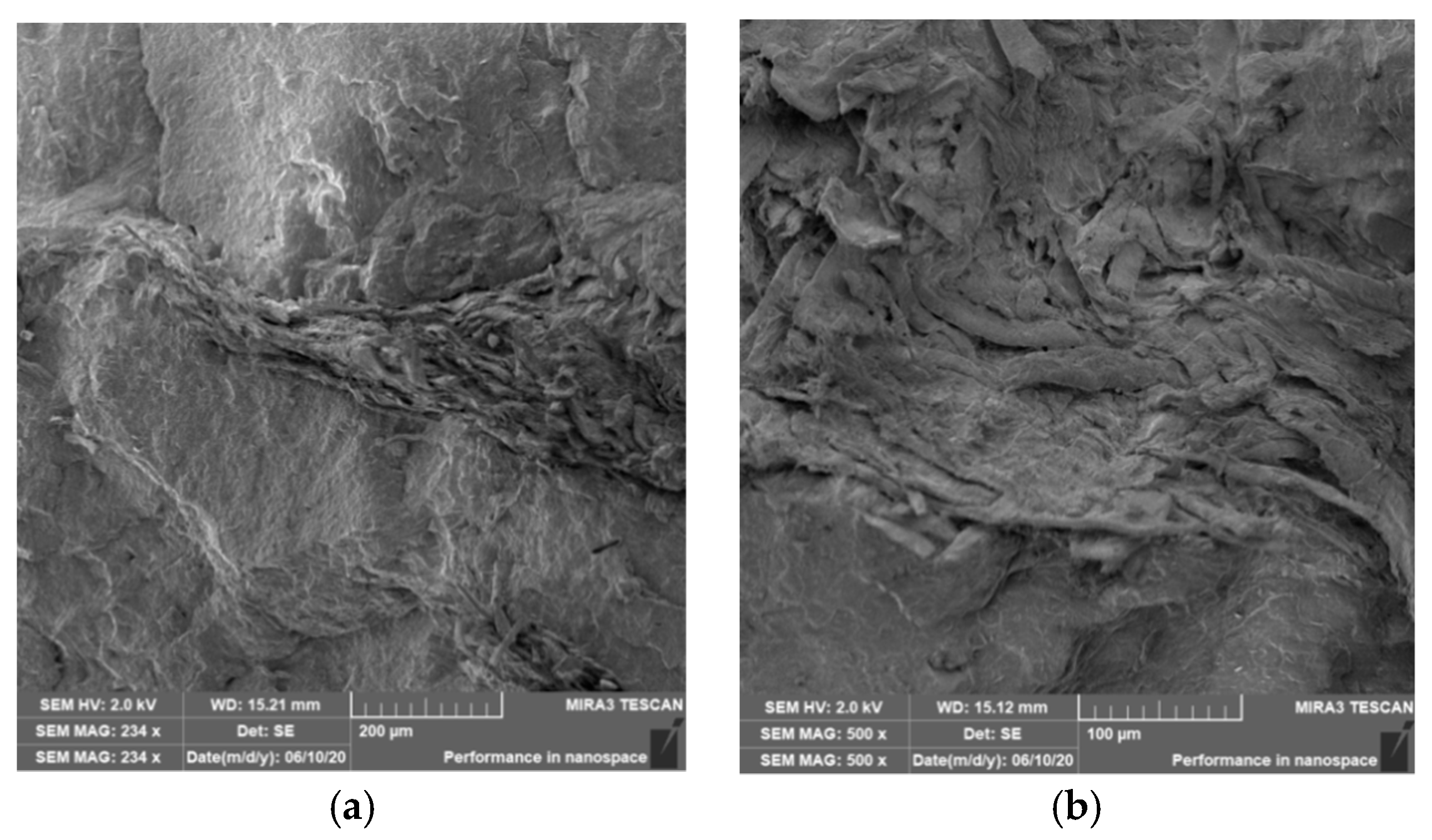 Polymers 12 03006 g020