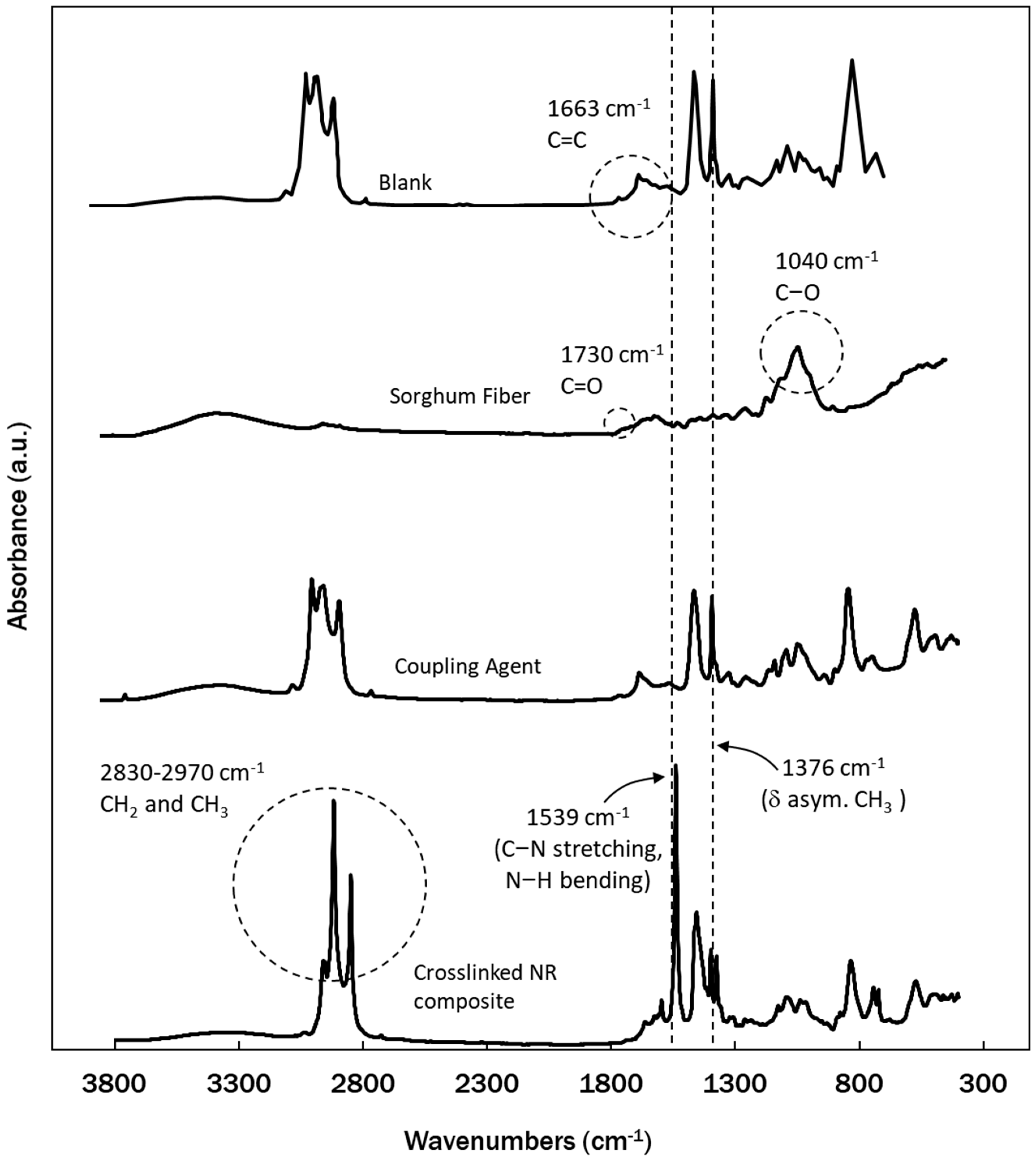 Polymers 12 03017 g001