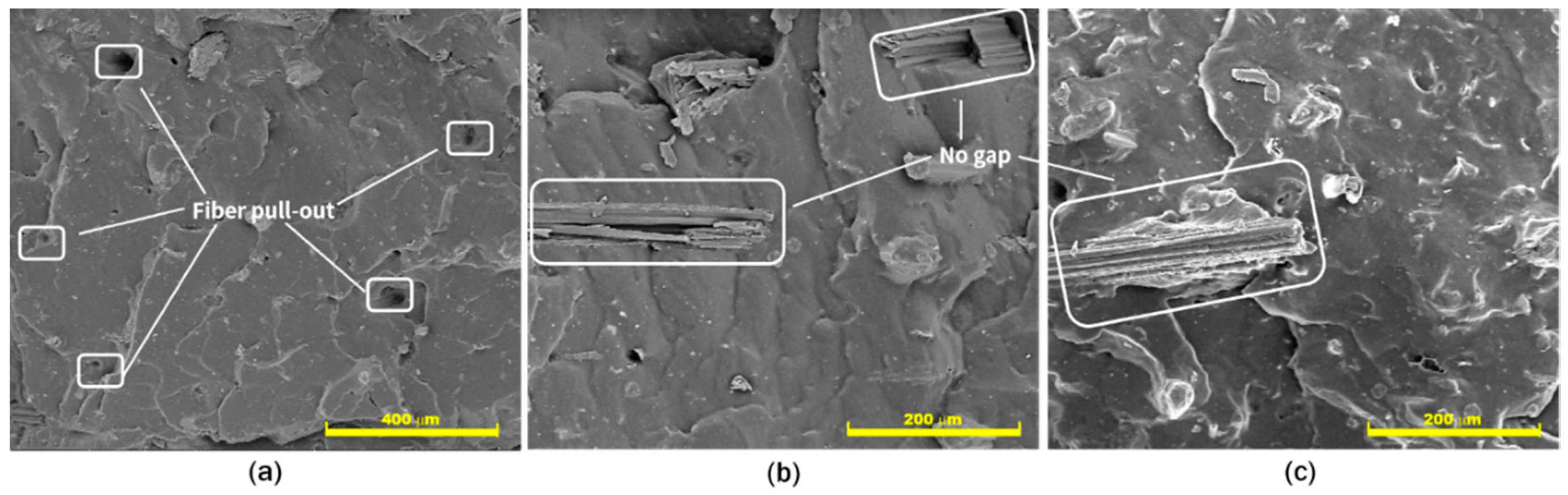Polymers 12 03017 g006