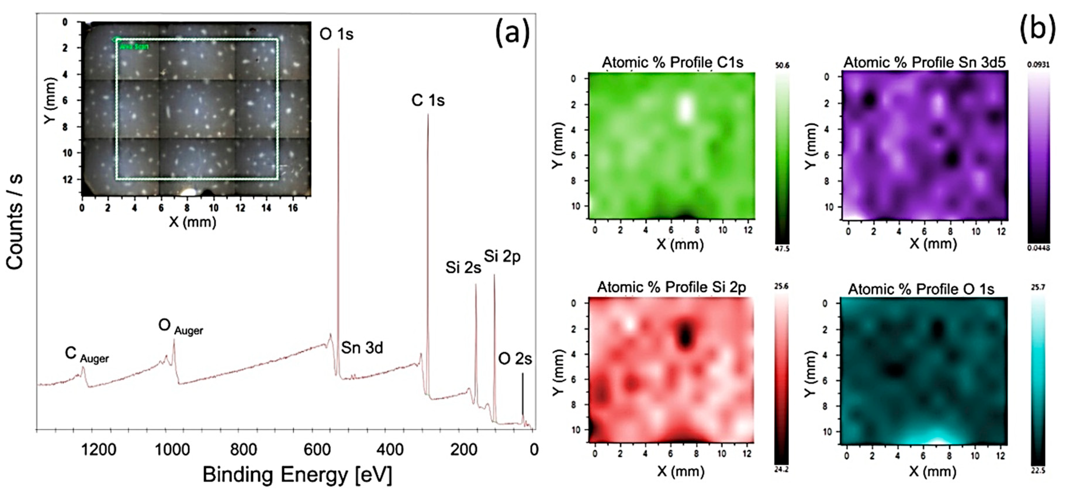 Polymers 12 03023 g005