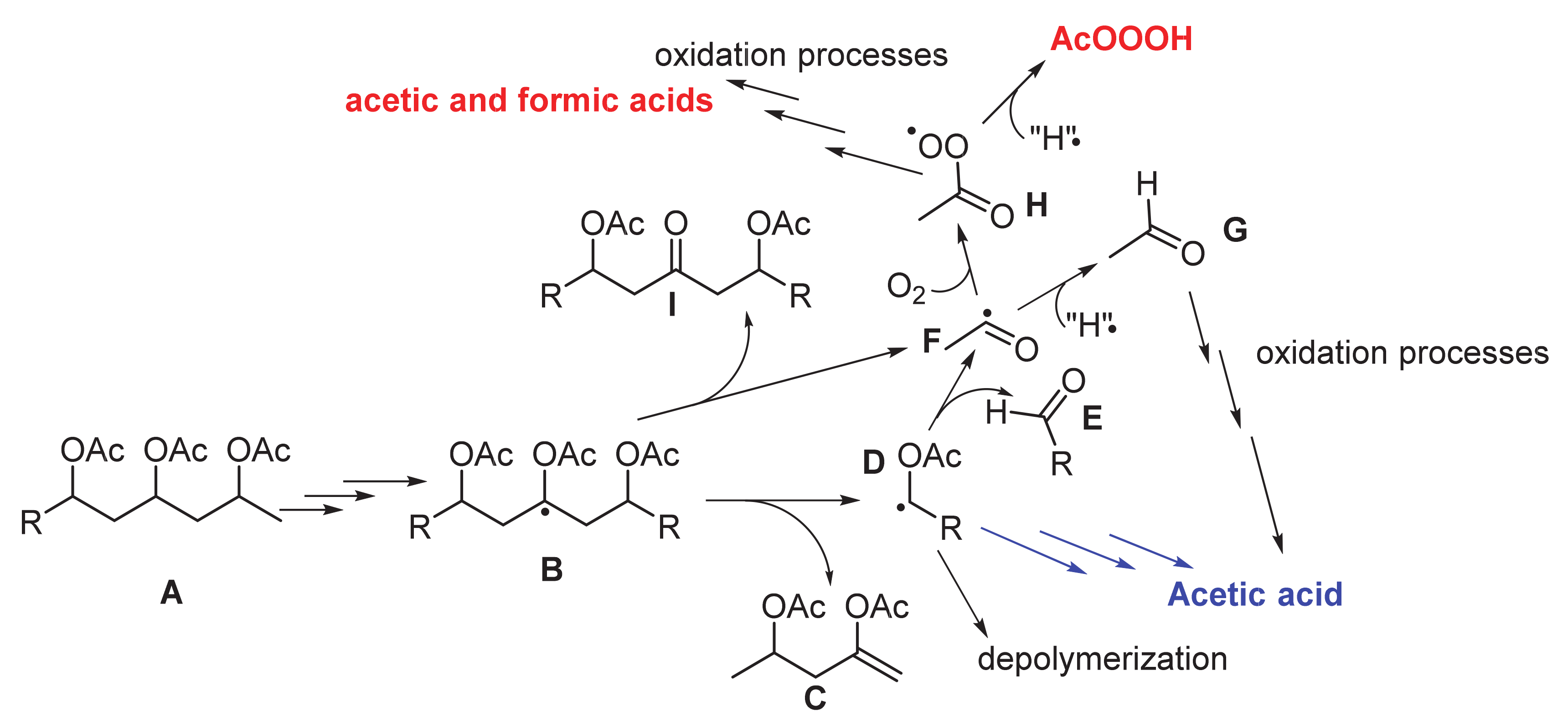 Polymers 12 03024 sch003