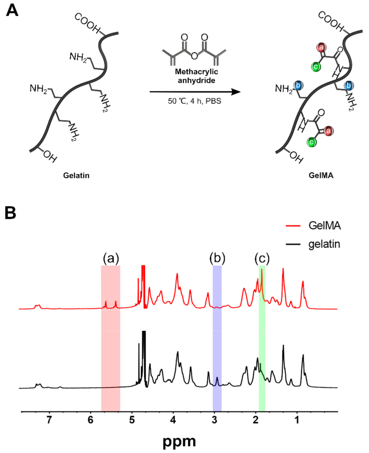 Polymers Free FullText CellLaden Gelatin Methacryloyl Bioink for
